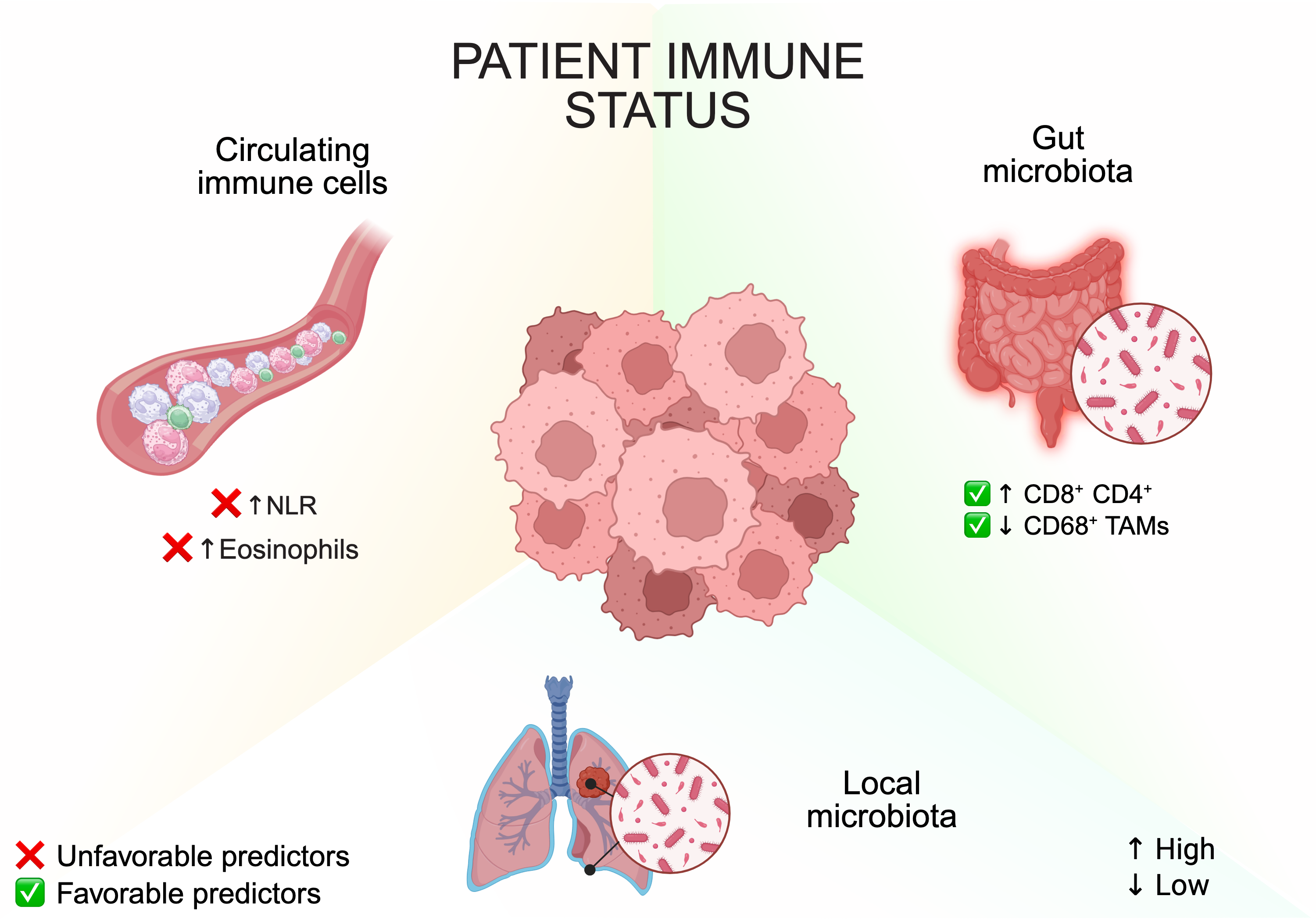 Cancers 17 04020 g005 Cancers 17 04020 g005