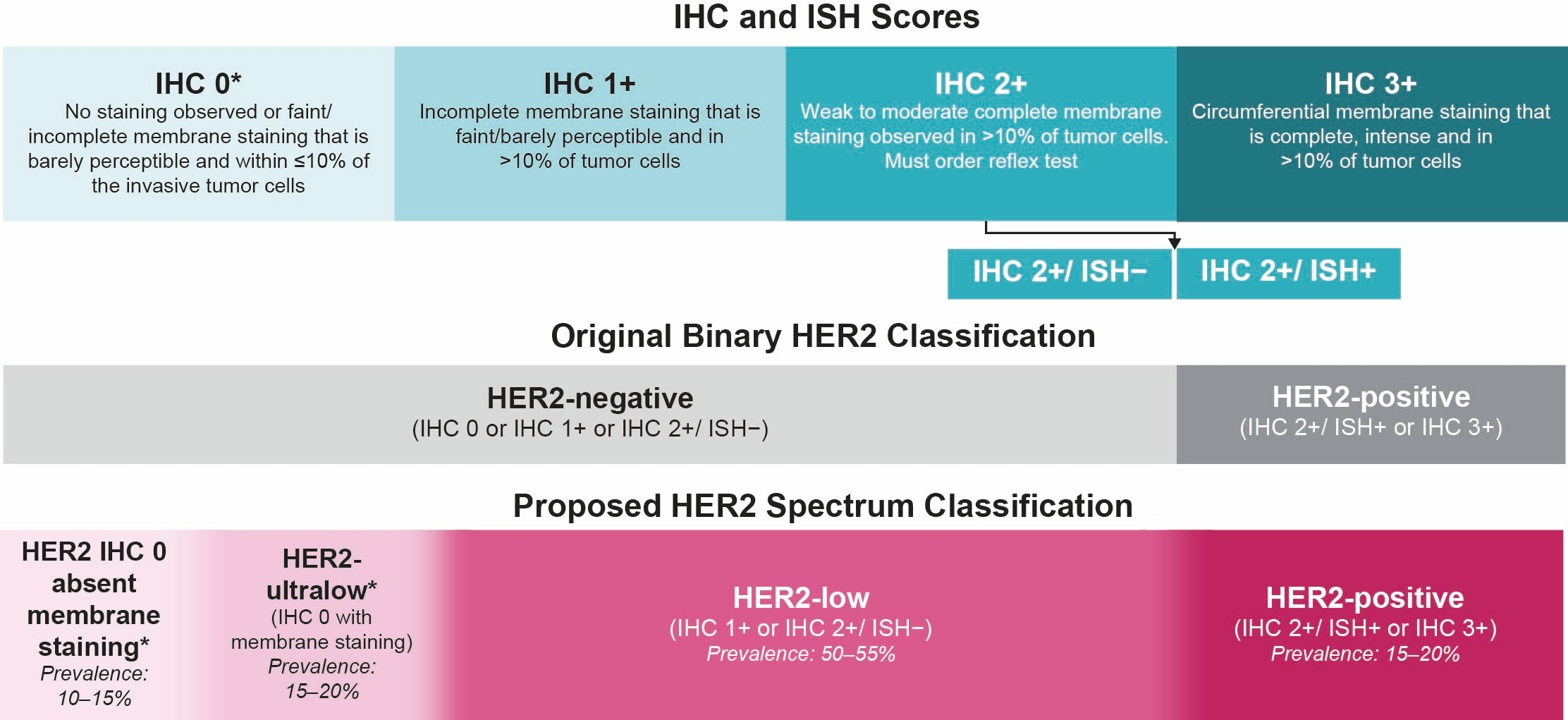 Cancers 17 04021 g001