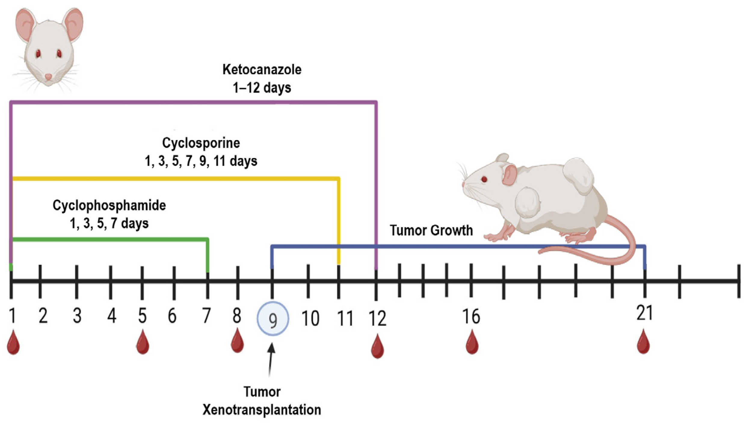 Cancers 17 04025 g001