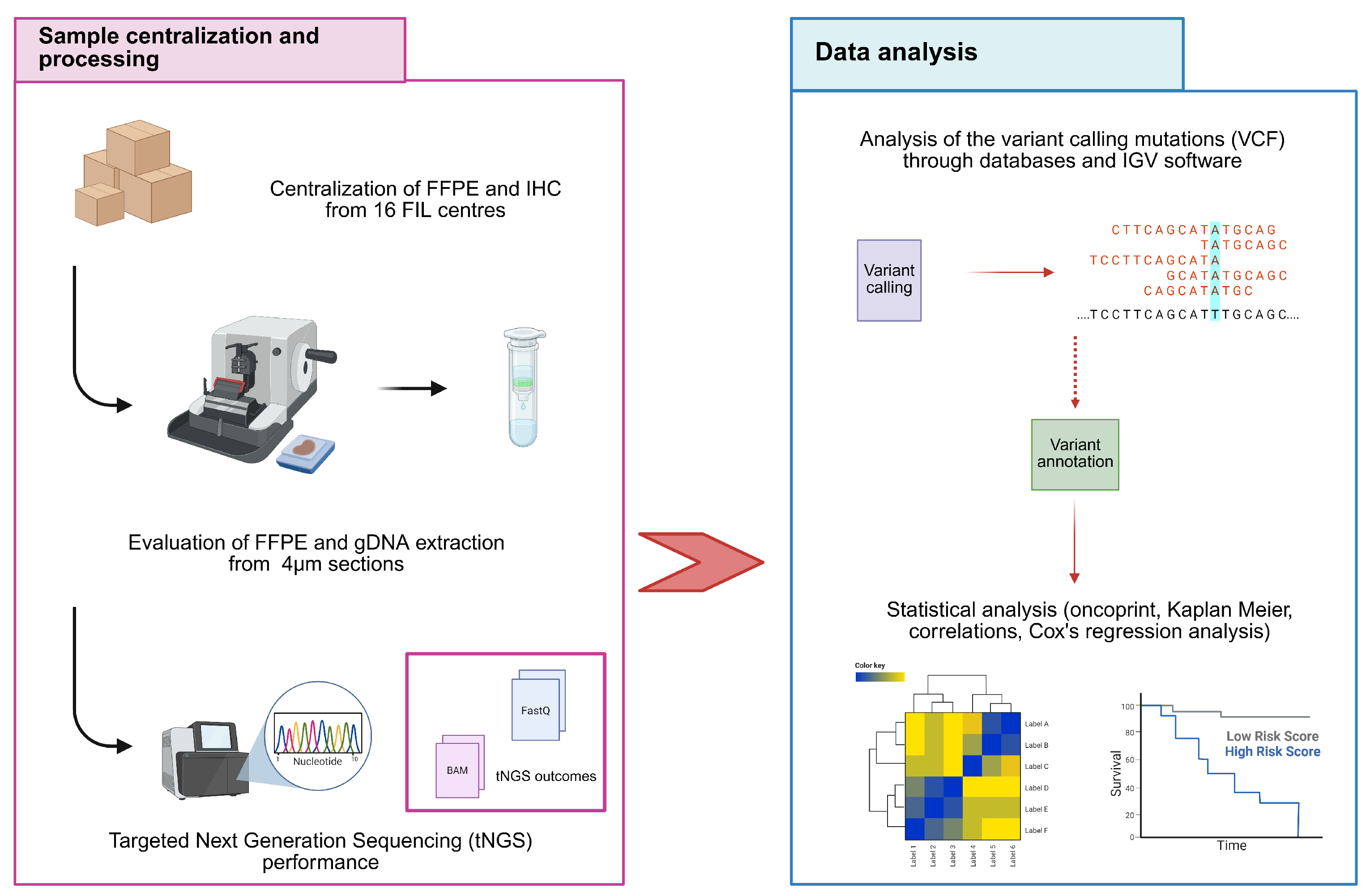 Cancers 17 04027 g001