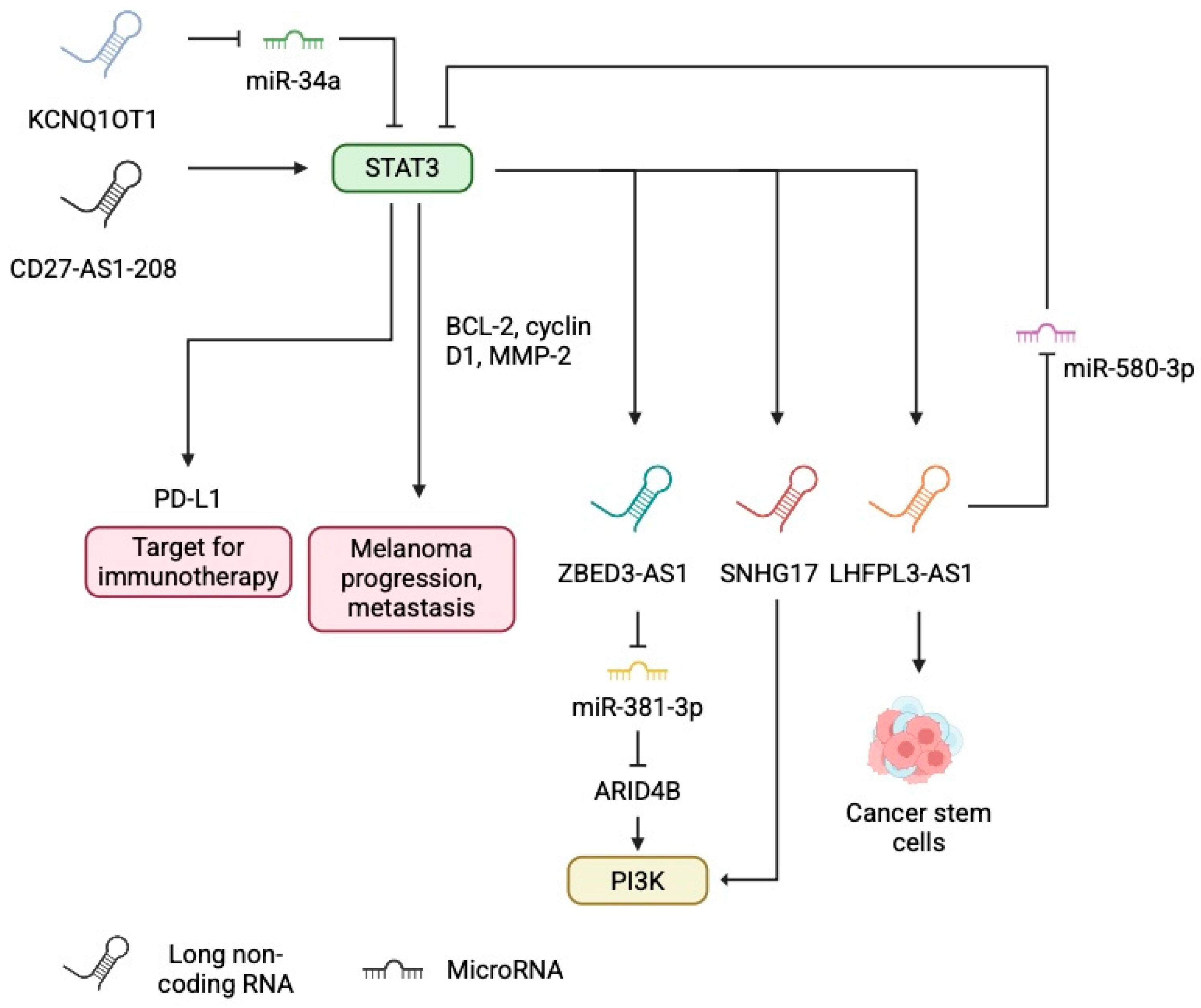 Cancers 17 04033 g001