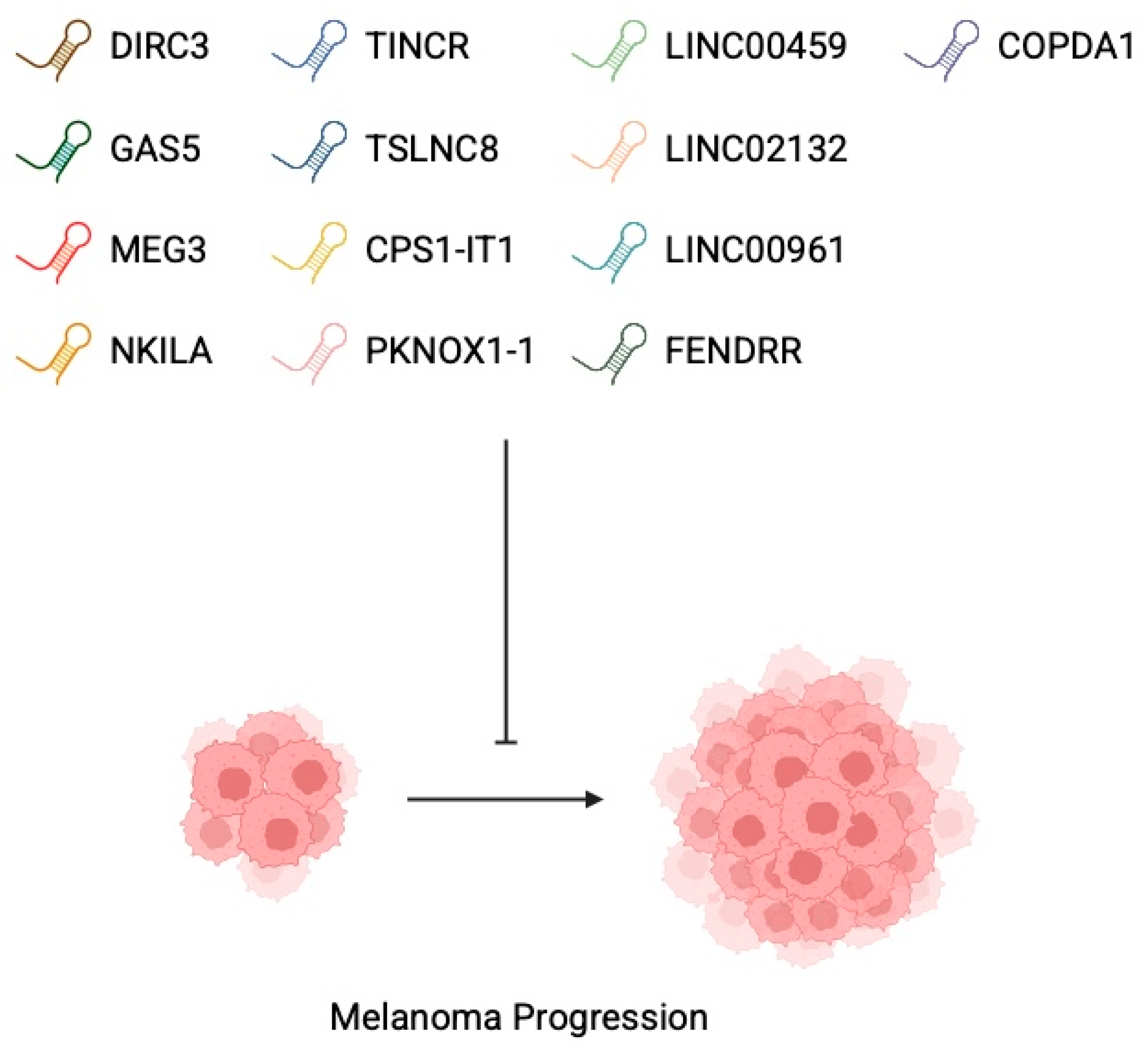 Cancers 17 04033 g003