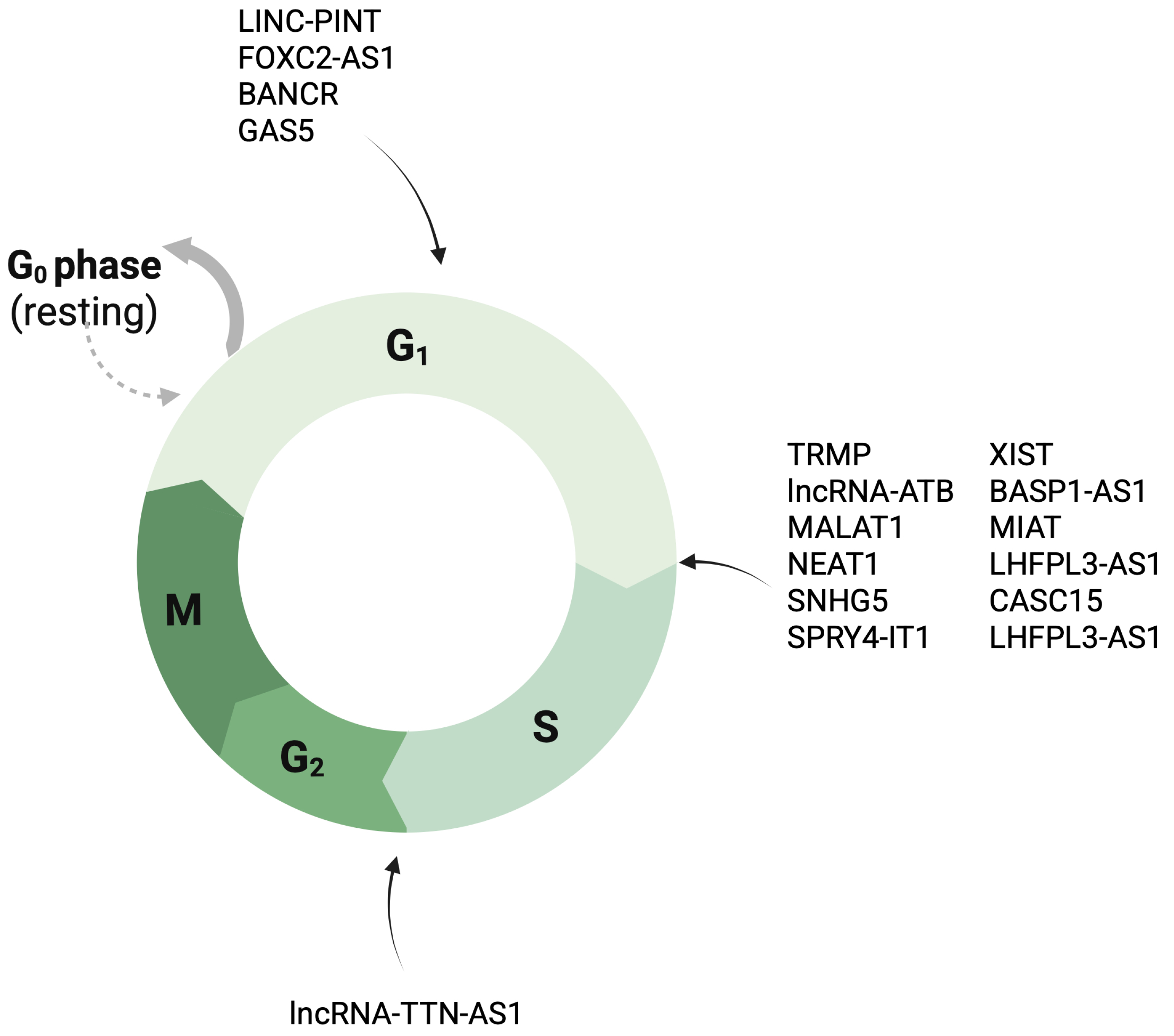 Cancers 17 04033 g004