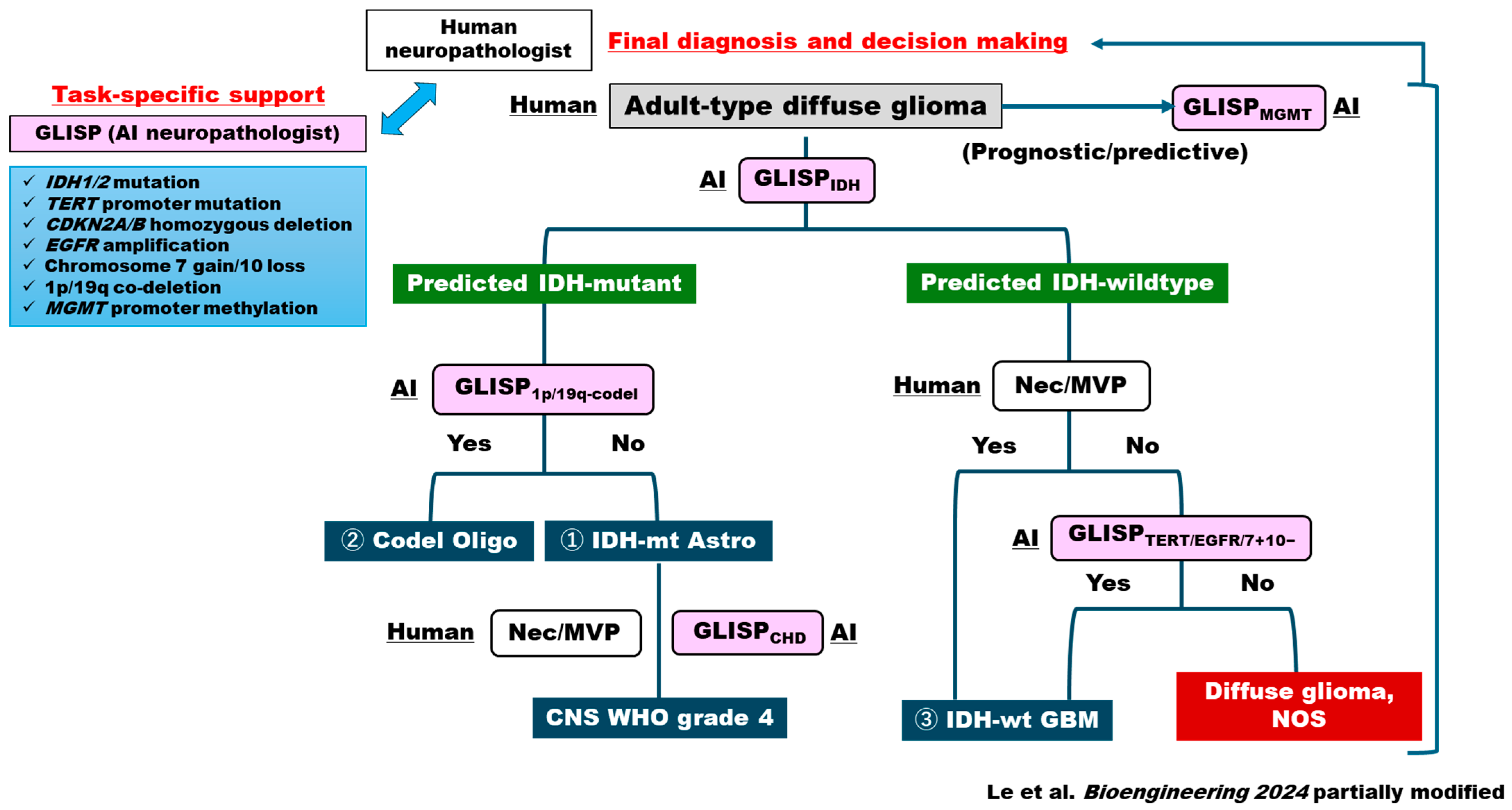 Cancers 18 00009 g002