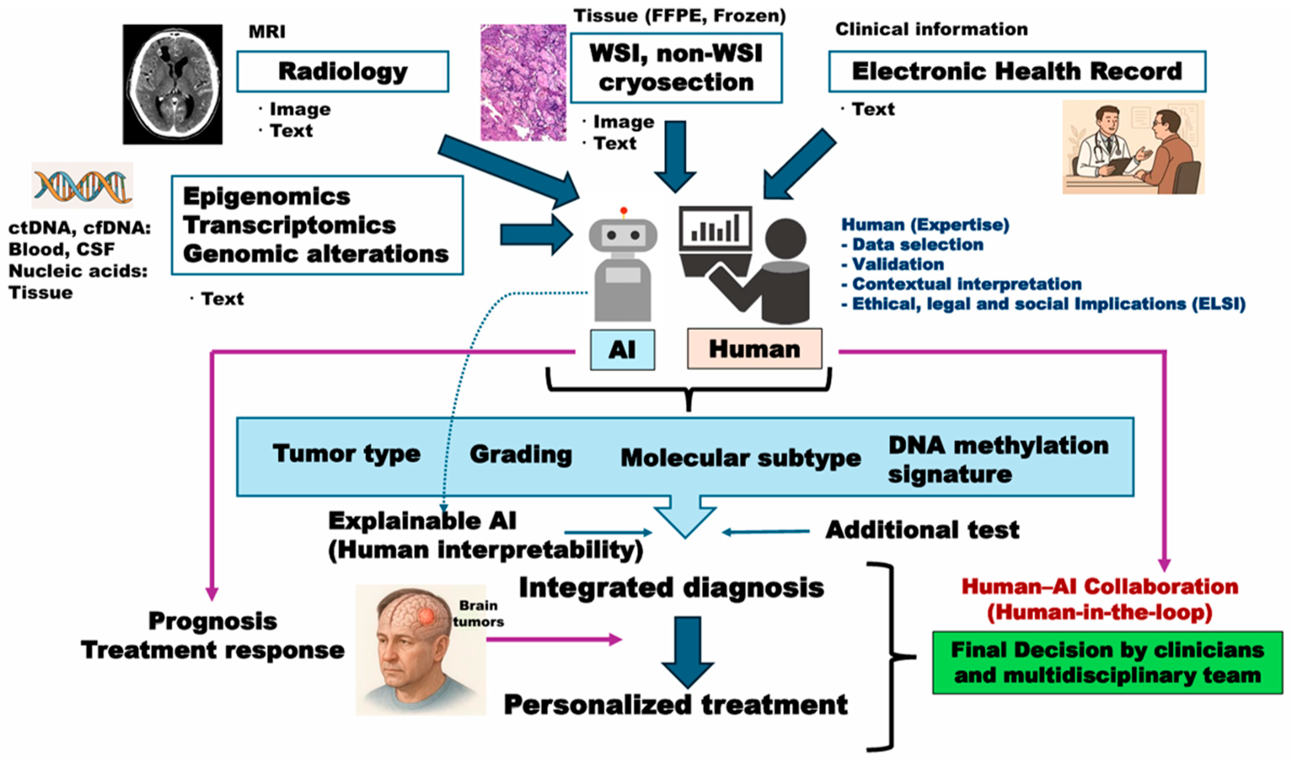 Cancers 18 00009 g003