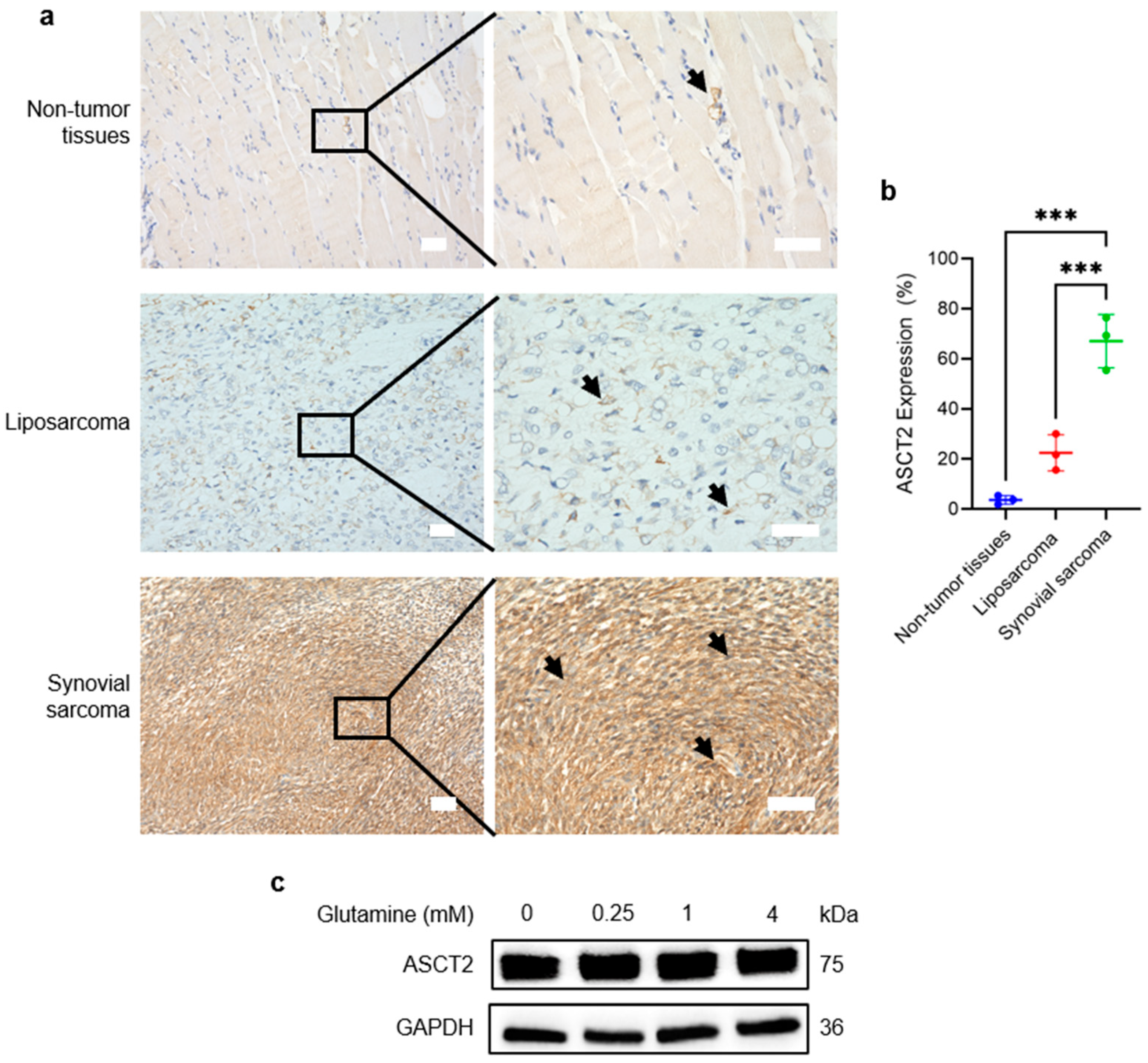 Cancers 18 00015 g001