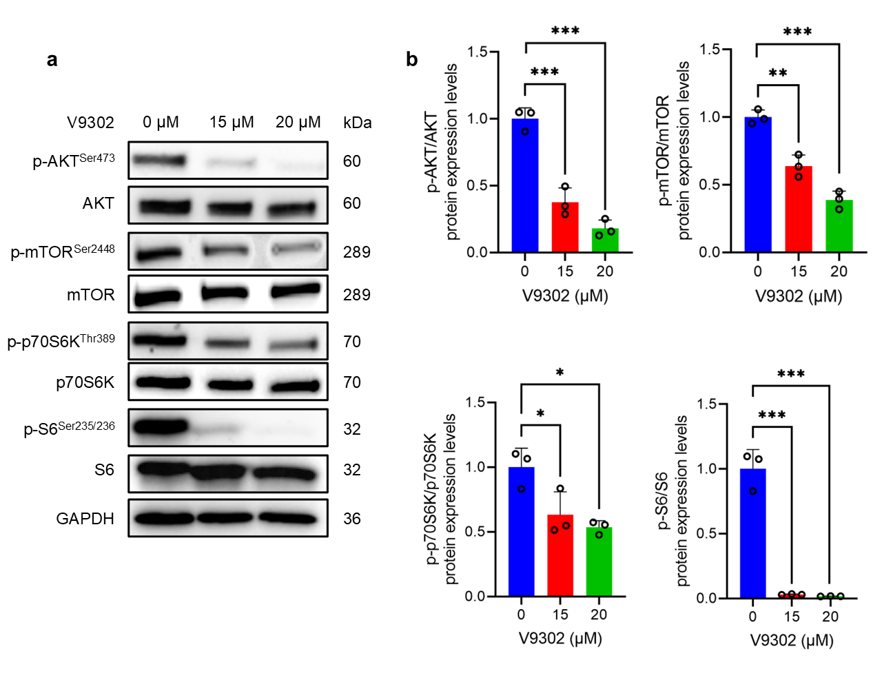Cancers 18 00015 g004