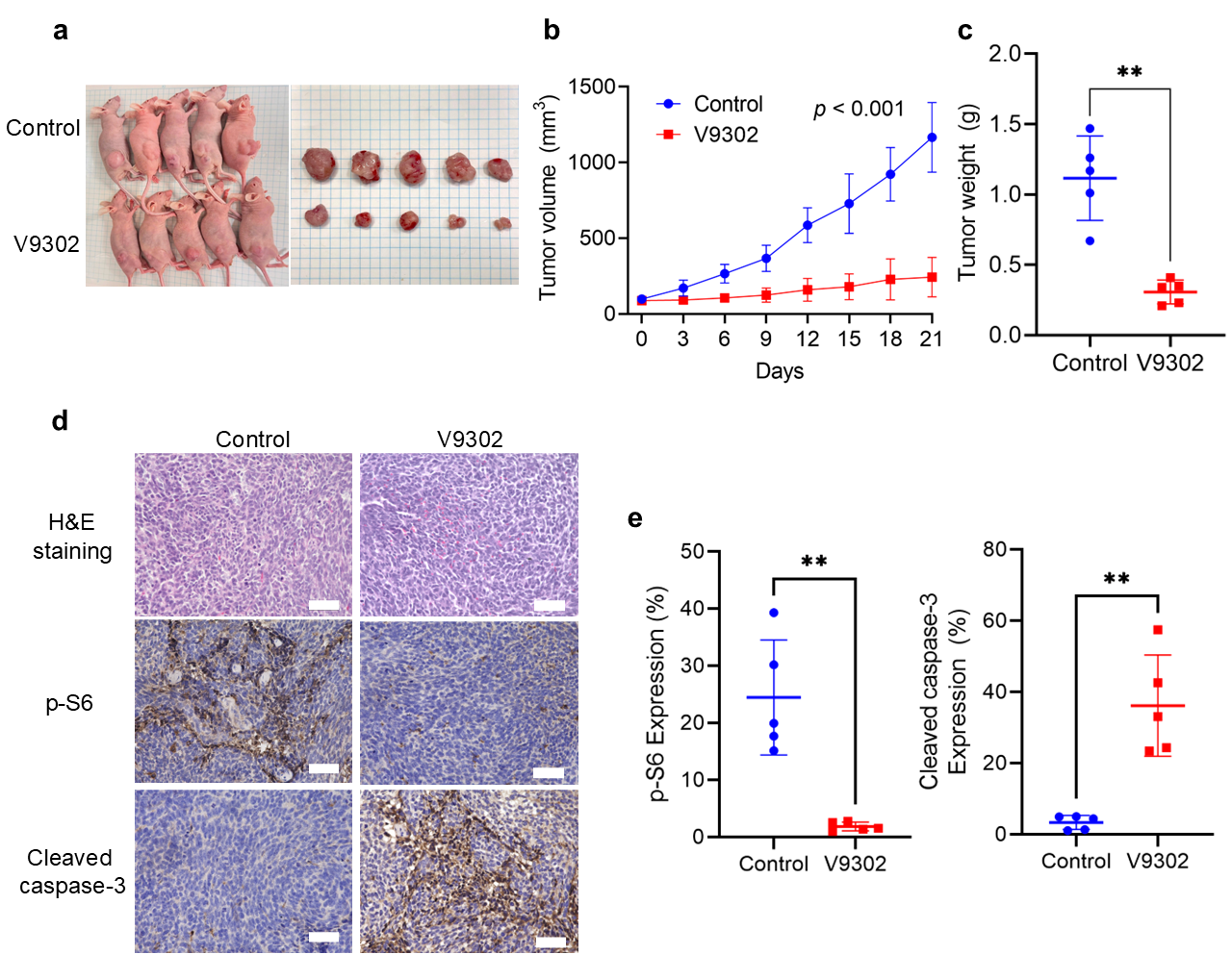Cancers 18 00015 g006