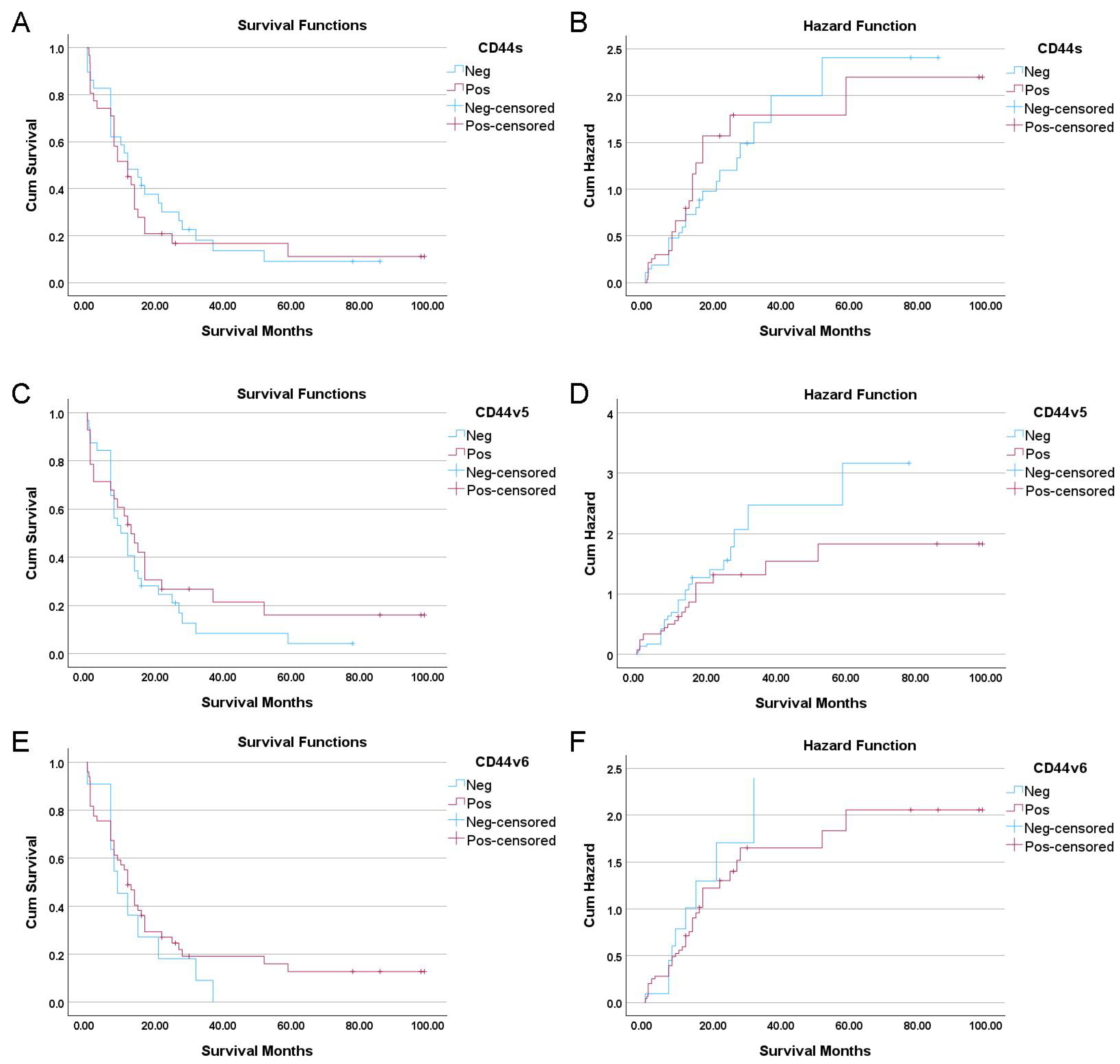 Cancers 18 00021 g002 Cancers 18 00021 g002
