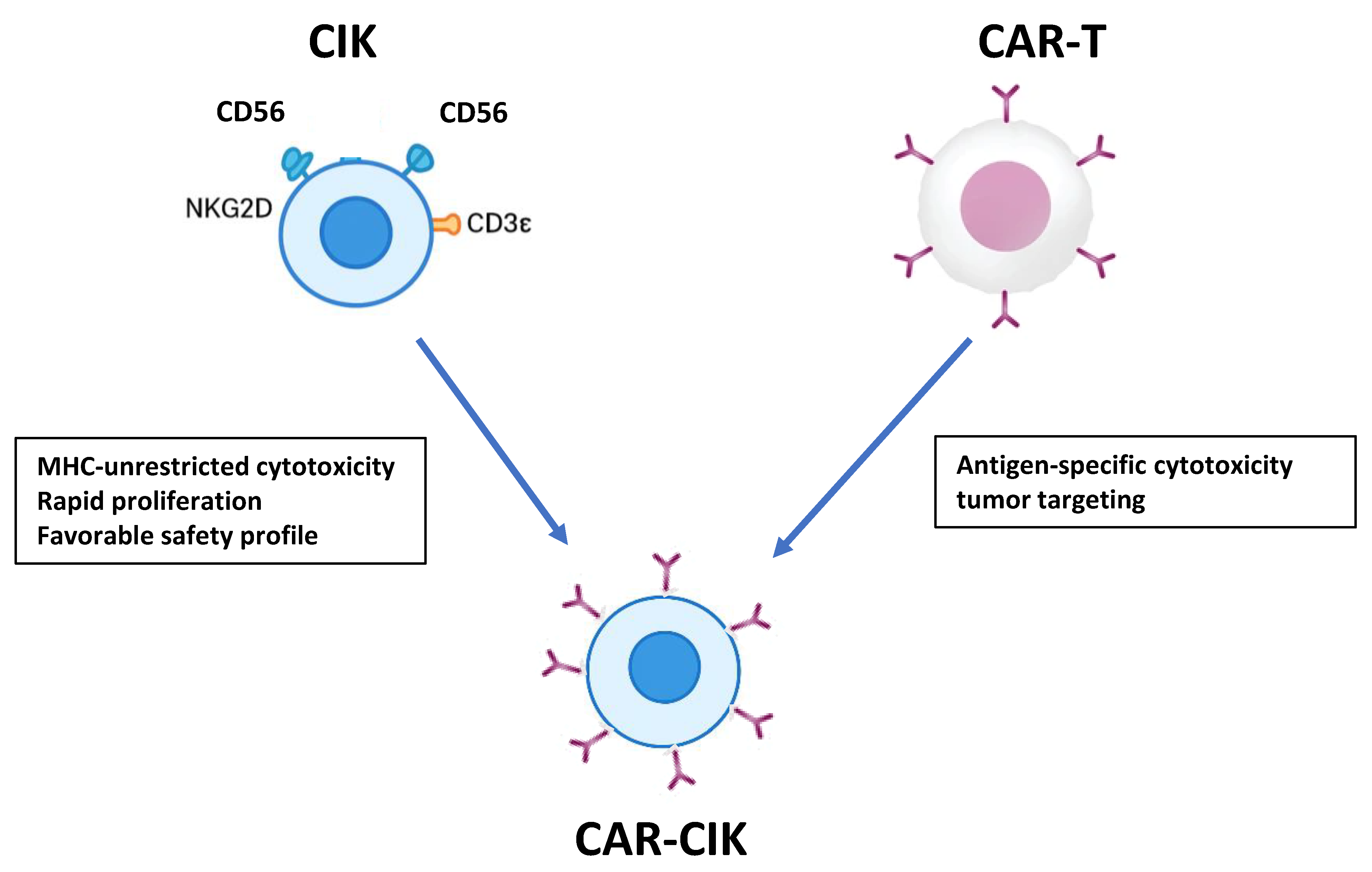 Cancers 18 00032 g001