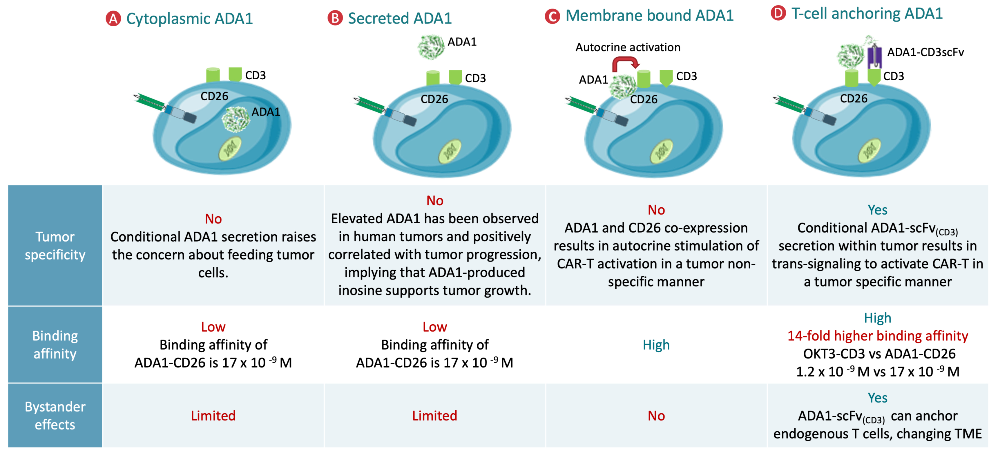Cancers 18 00034 g001