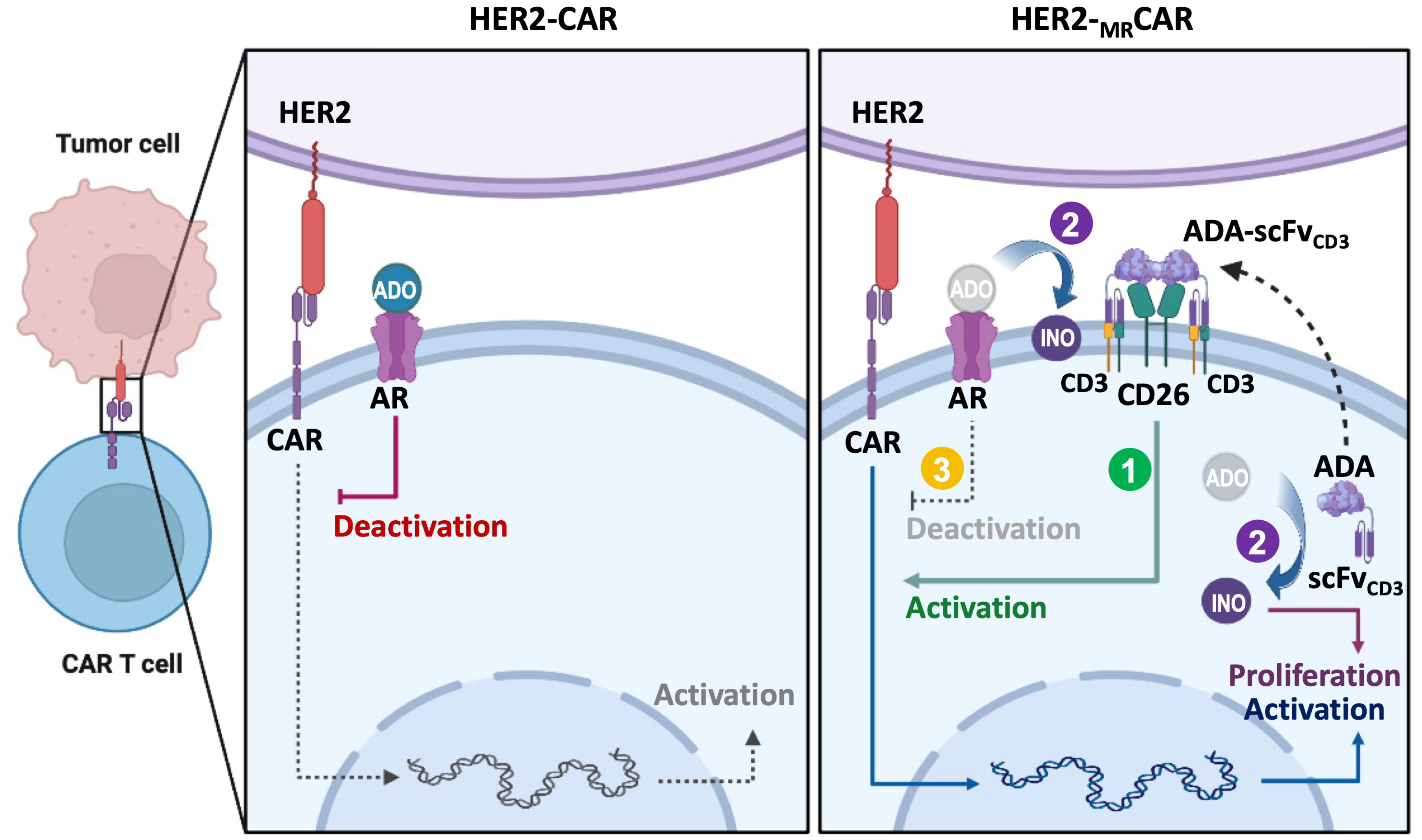 Cancers 18 00034 g002