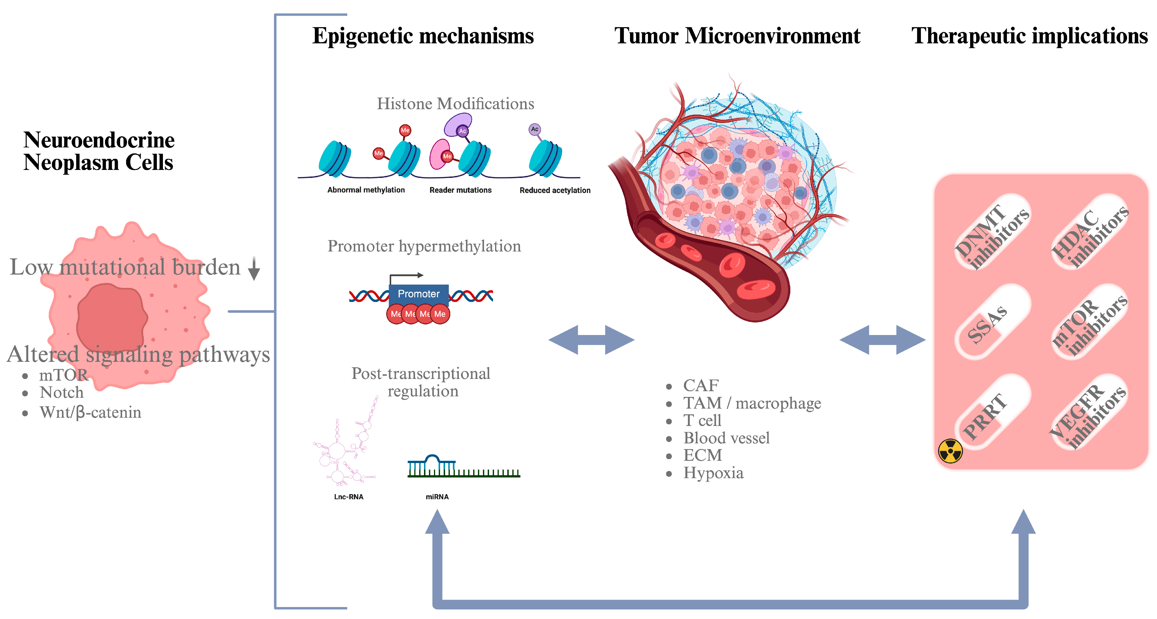 Cancers 18 00069 g001