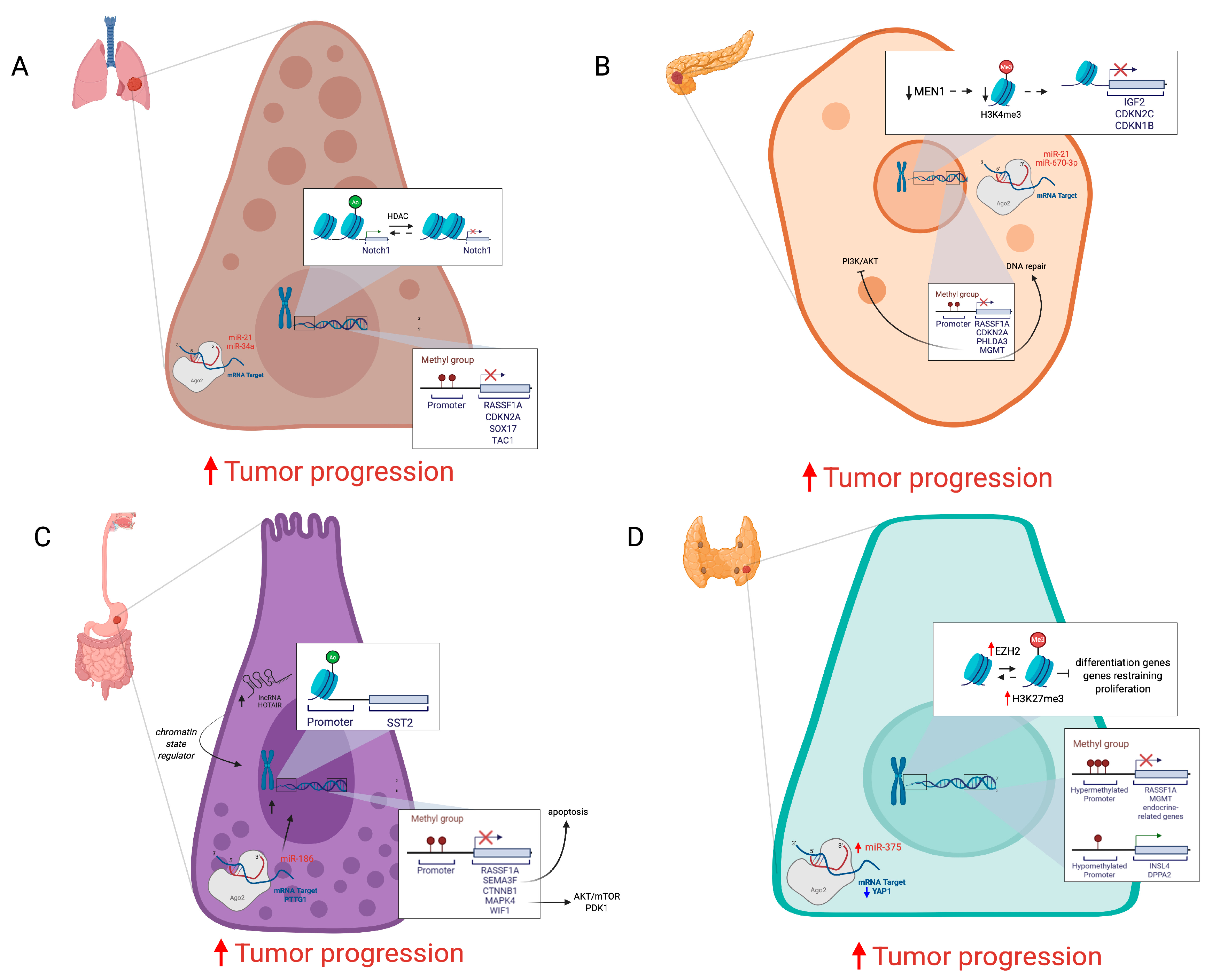 Cancers 18 00069 g002
