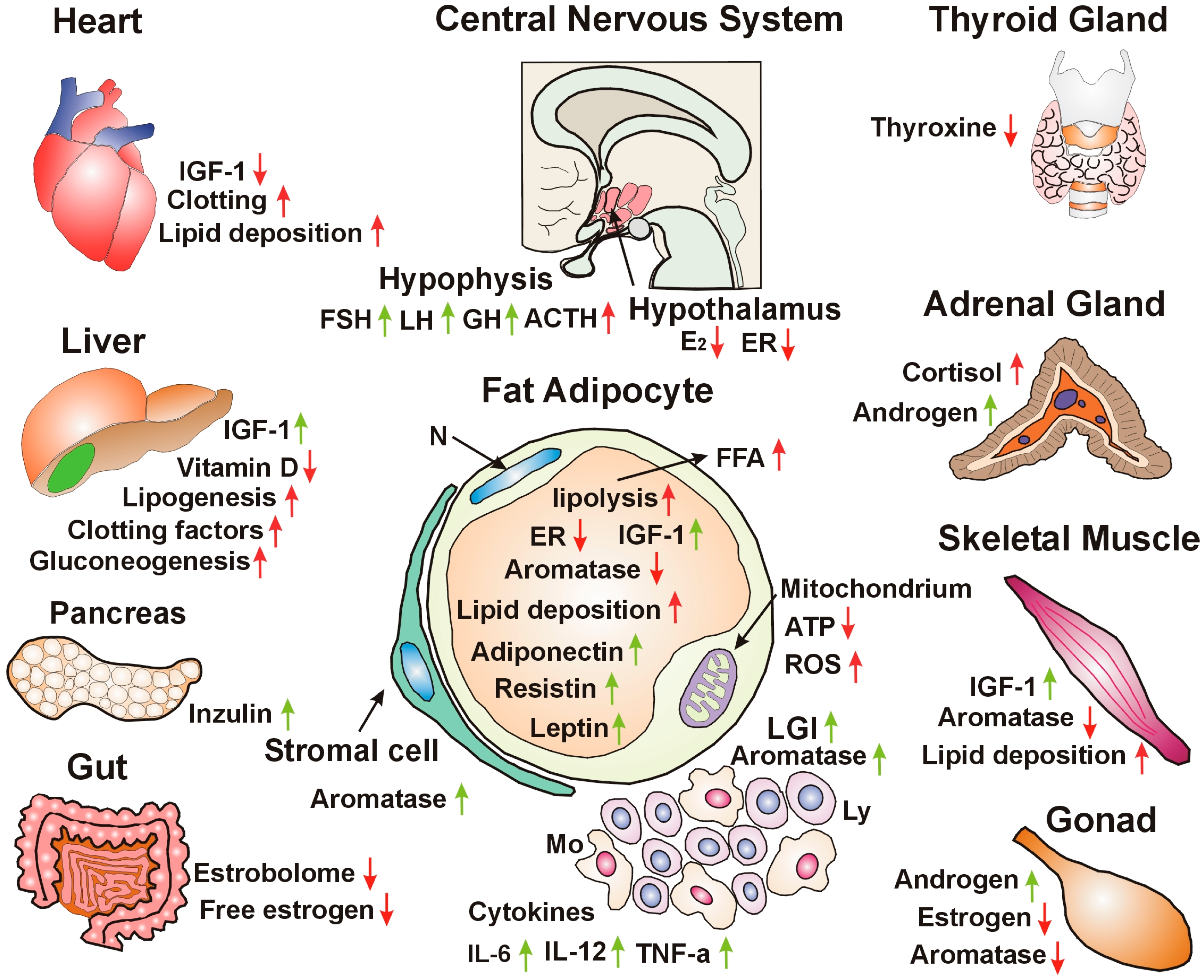 Cancers 18 00078 g001