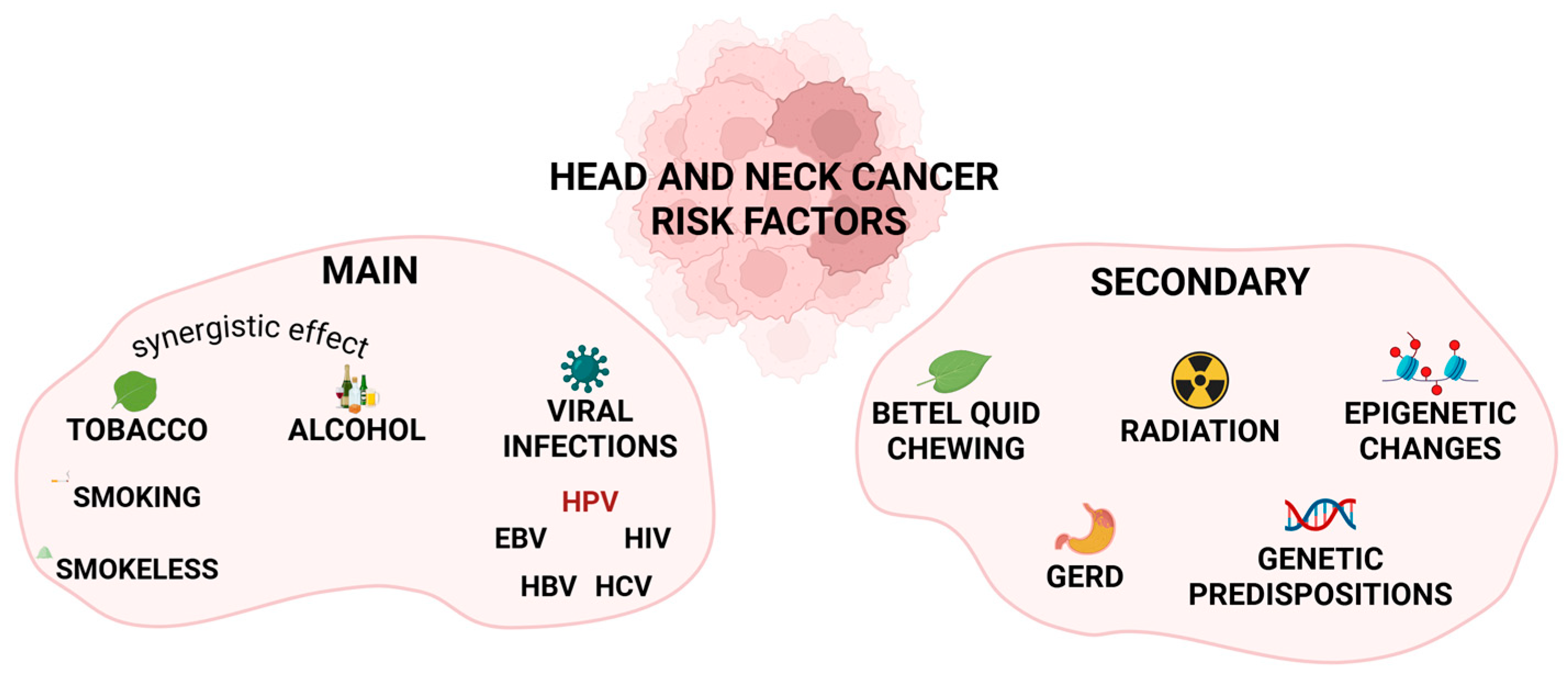 Cancers 18 00087 g001