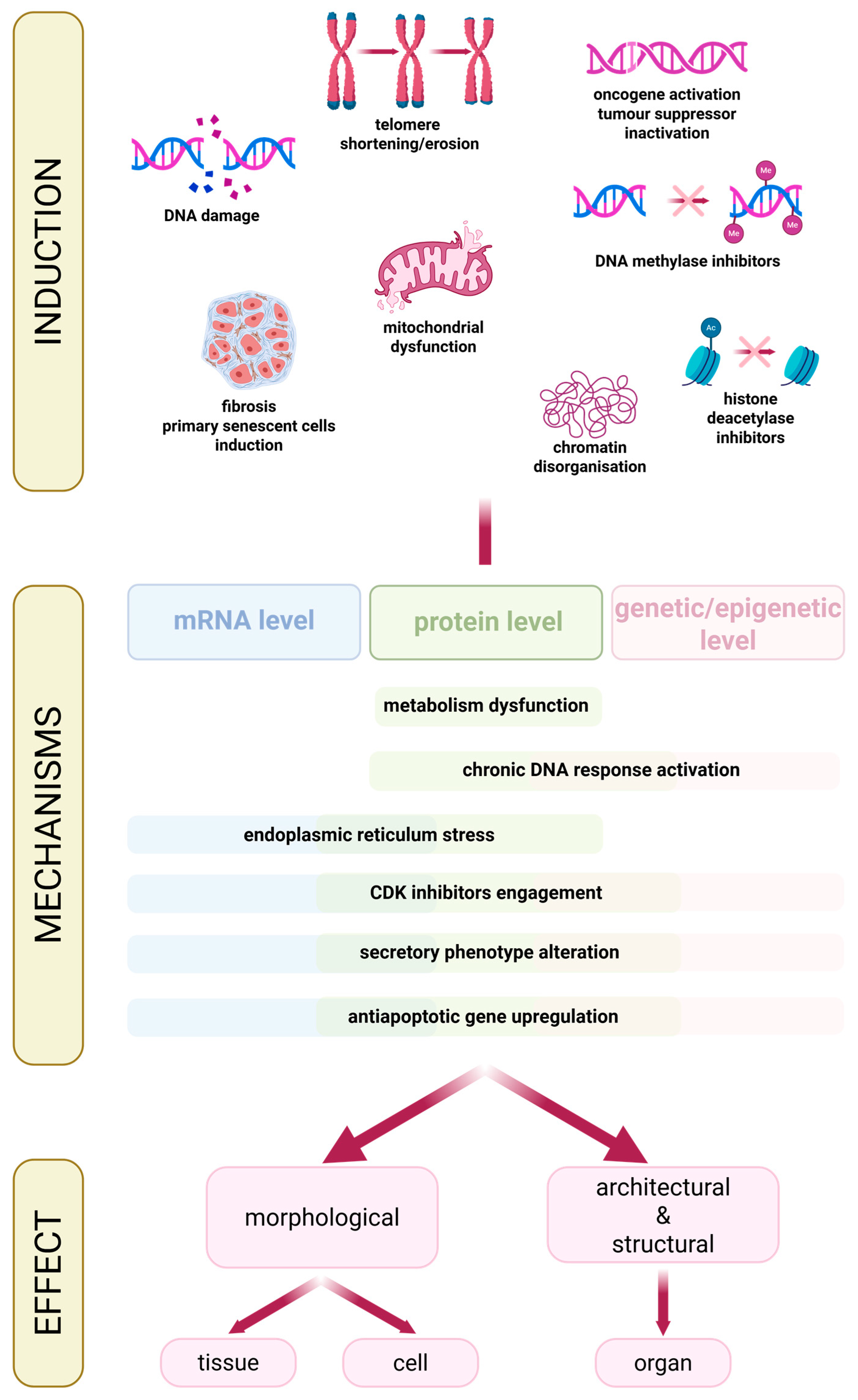 Cancers 18 00087 g003