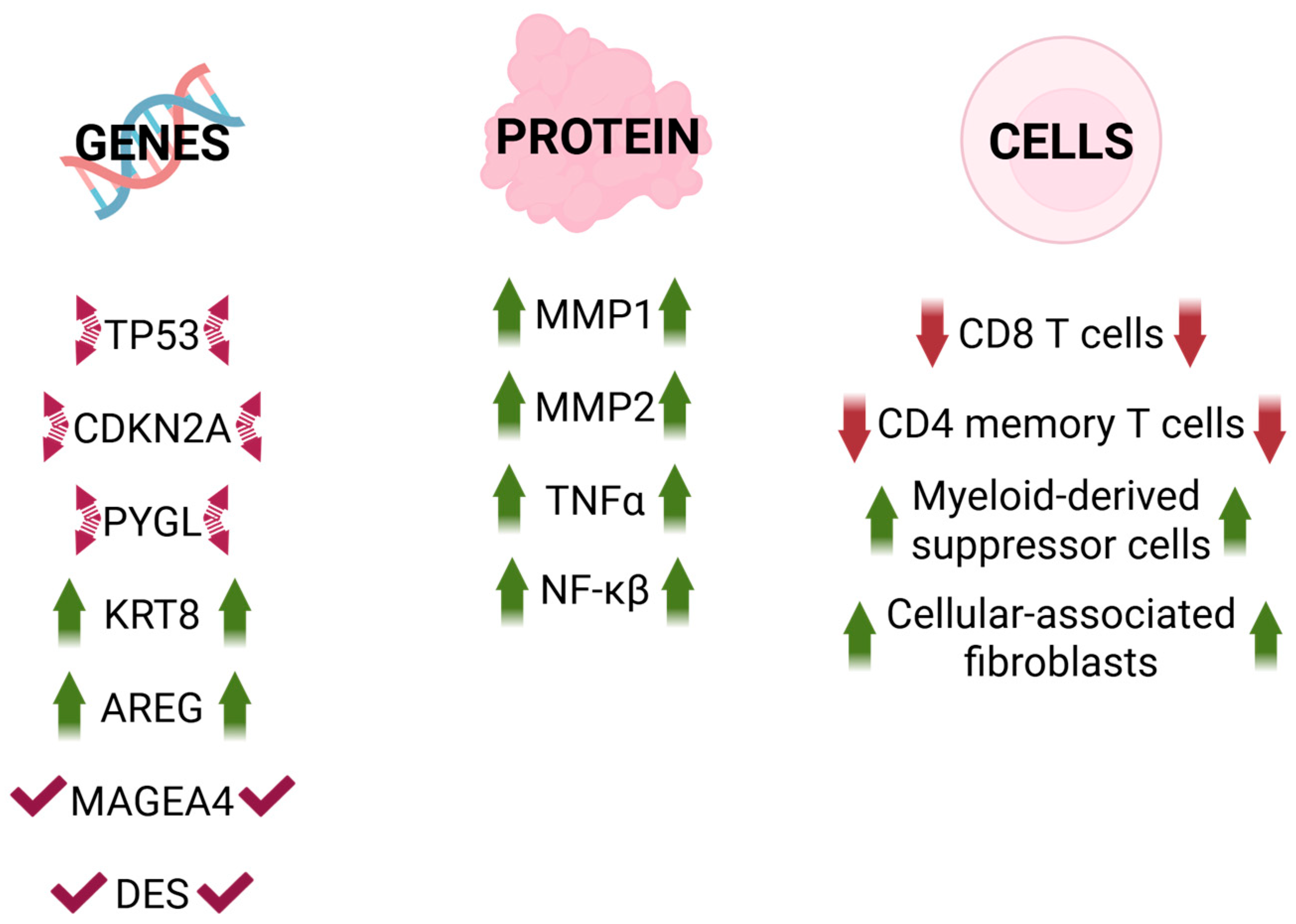 Cancers 18 00087 g004