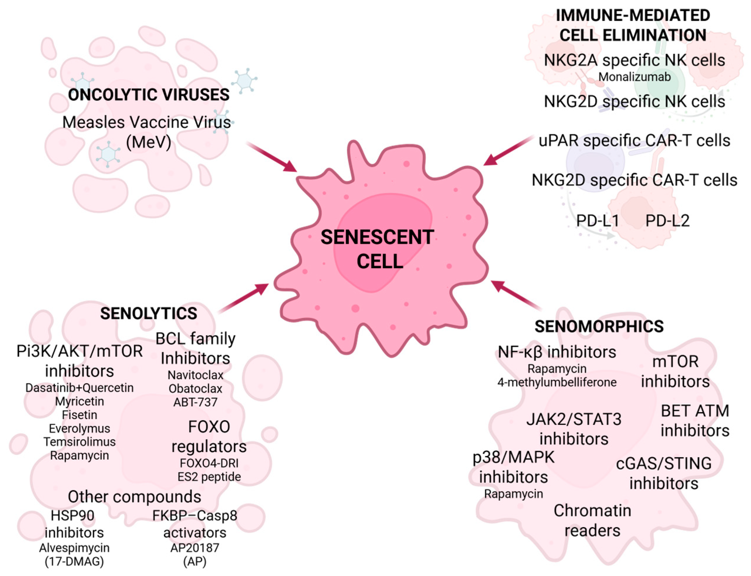 Cancers 18 00087 g005