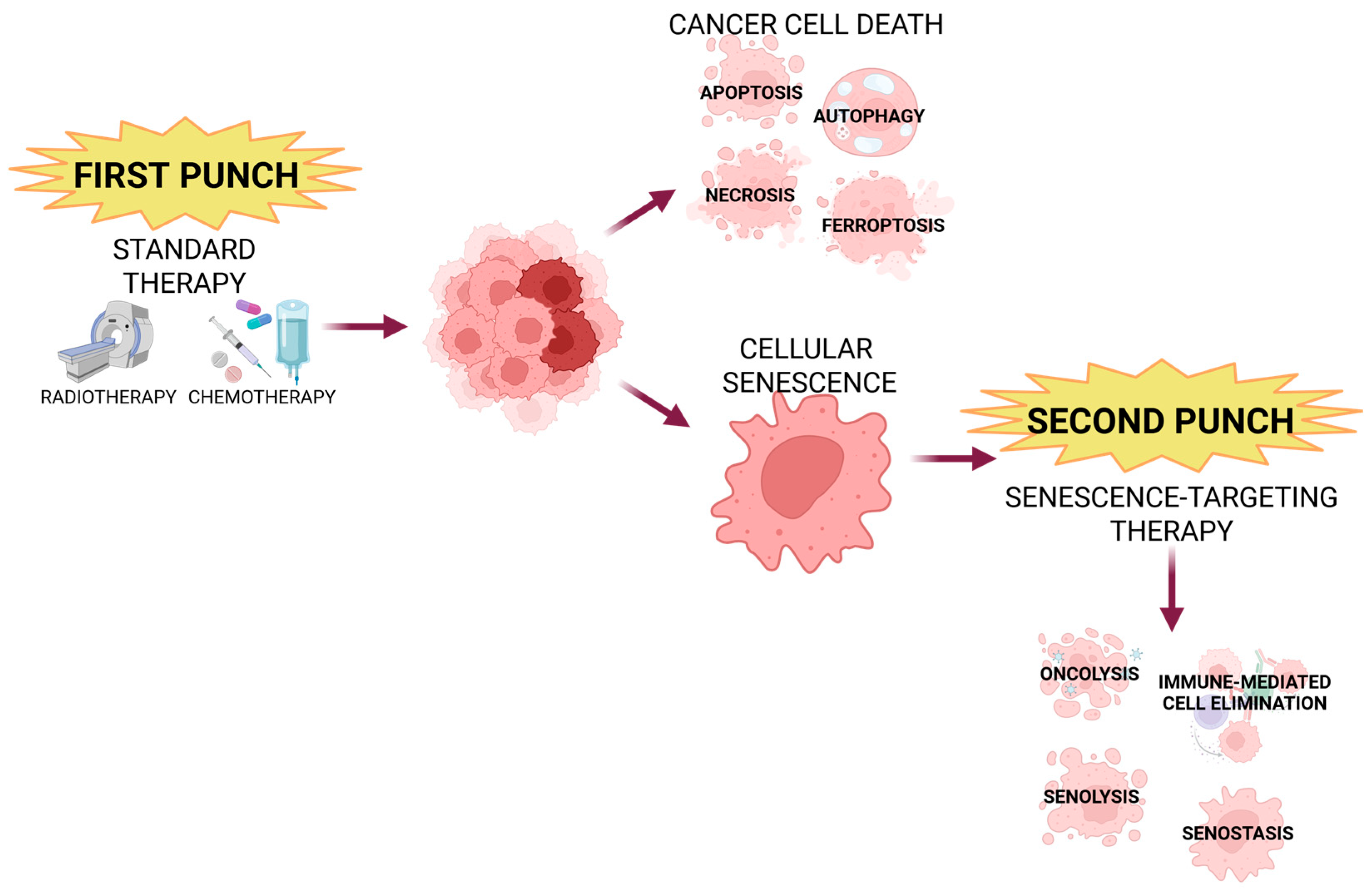 Cancers 18 00087 g006