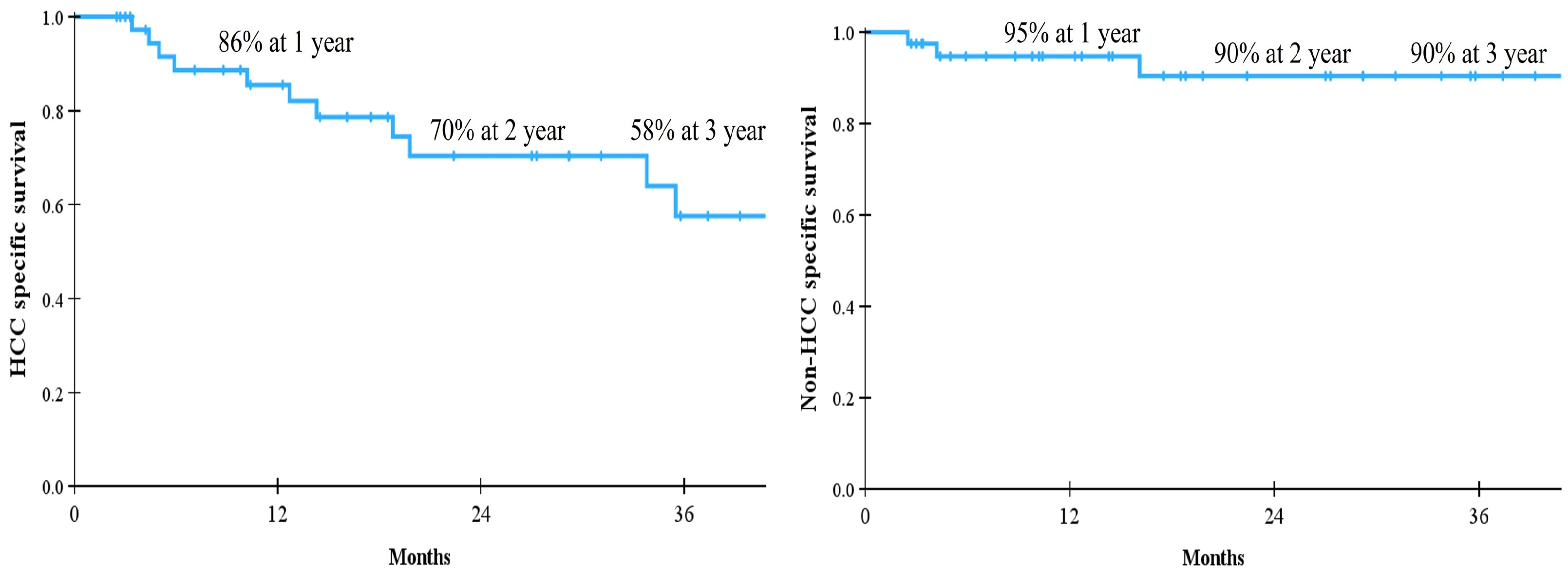 Cancers 18 00091 g003