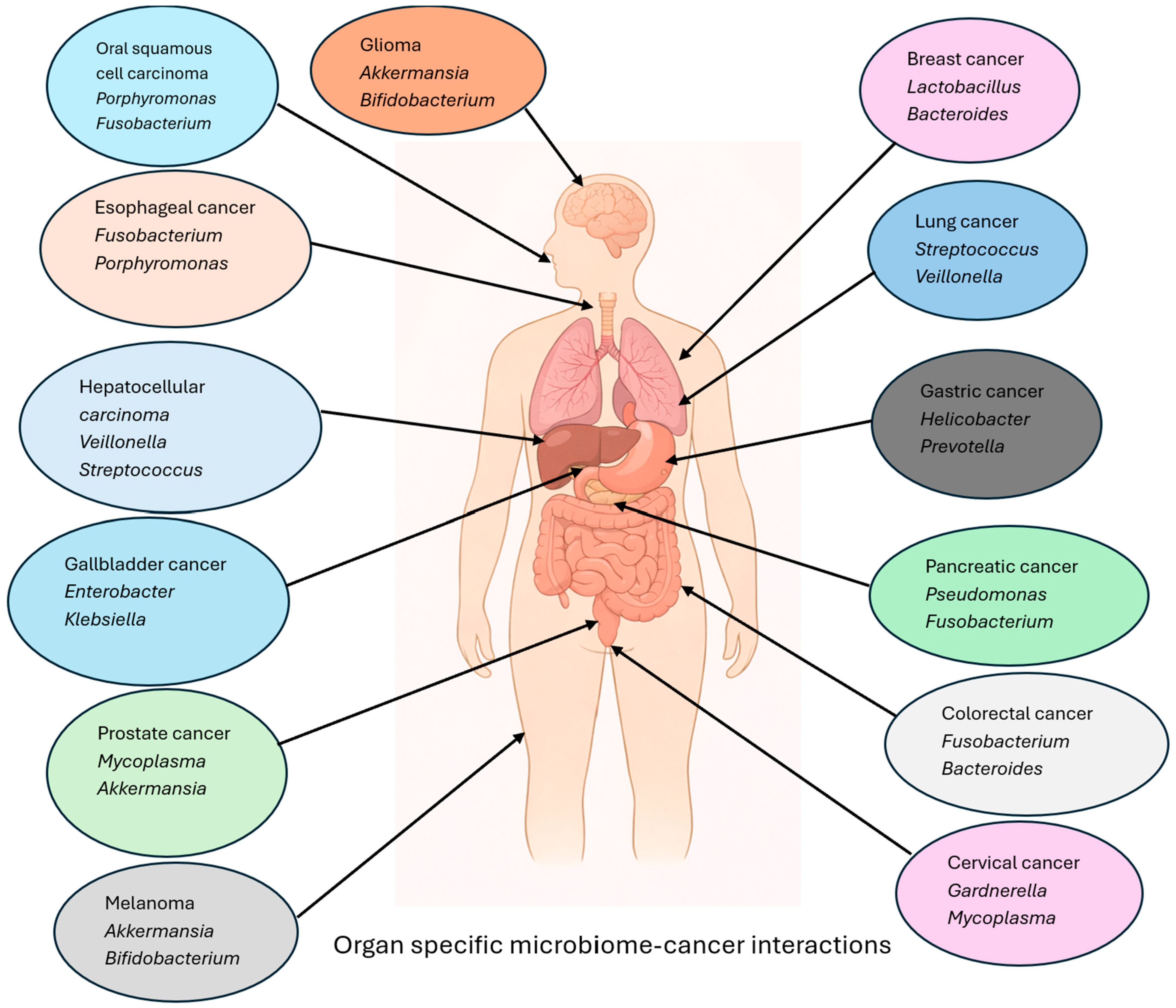 Cancers 18 00099 g001