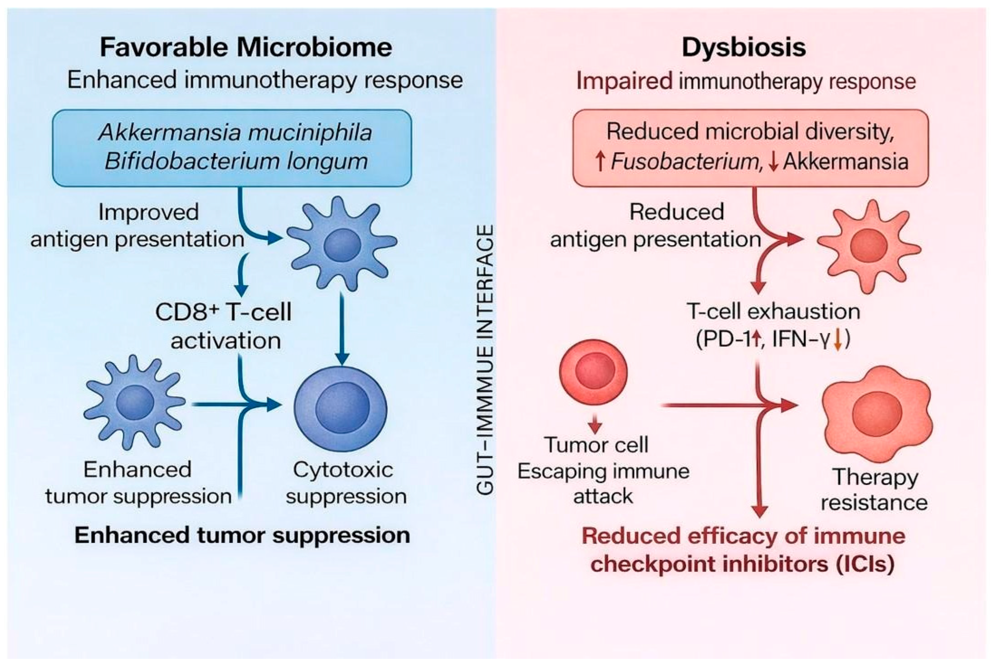 Cancers 18 00099 g002