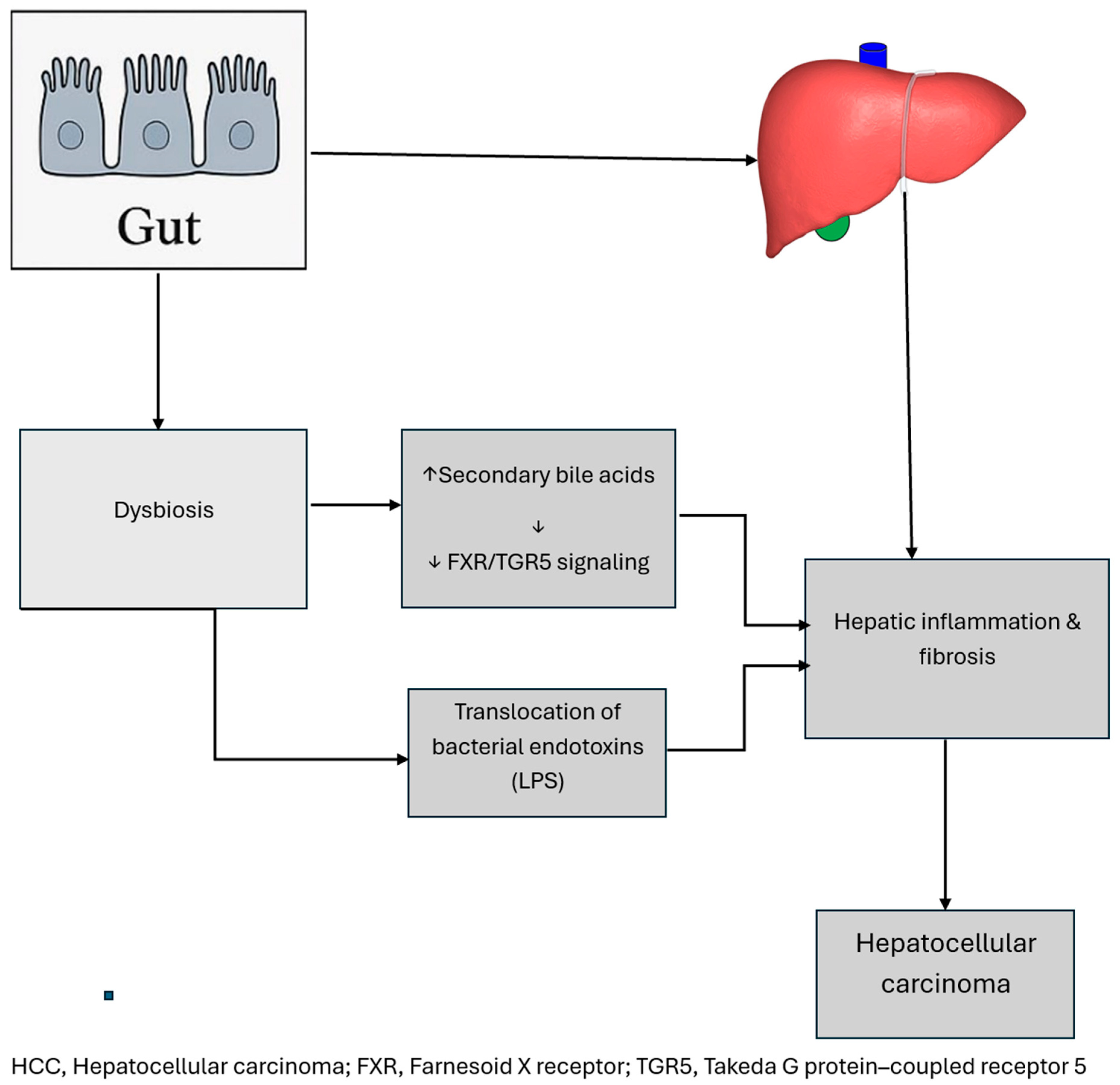 Cancers 18 00099 g003