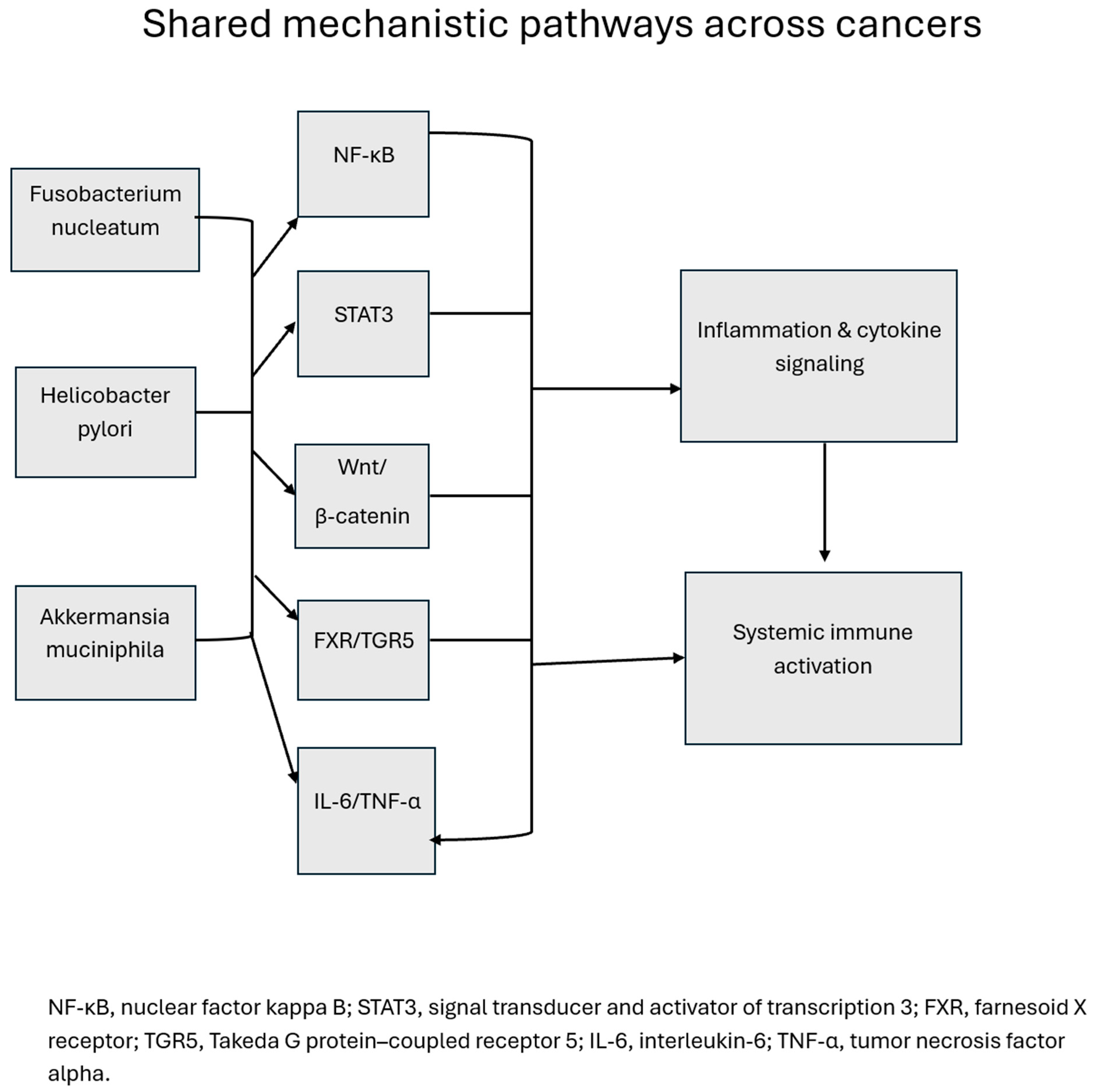 Cancers 18 00099 g004