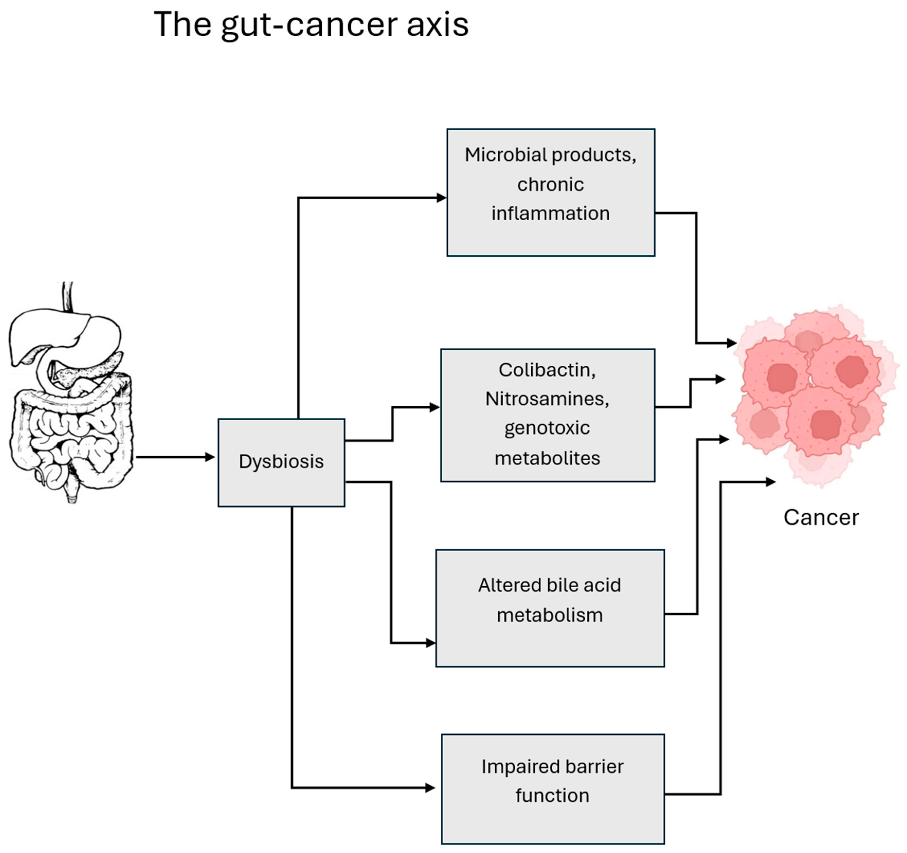 Cancers 18 00099 g005