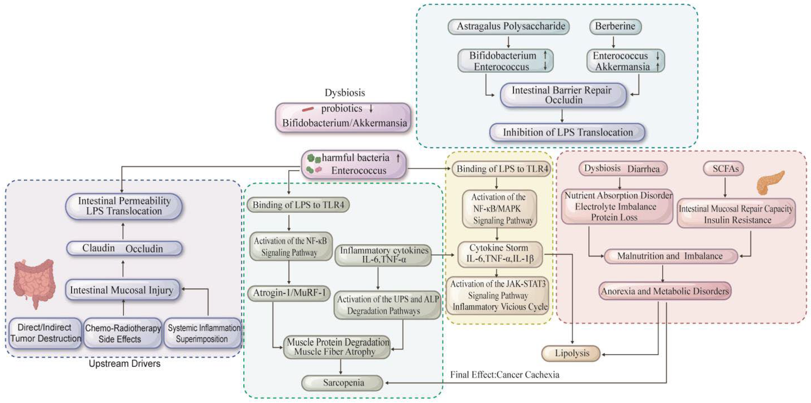 Cancers 18 00104 g002