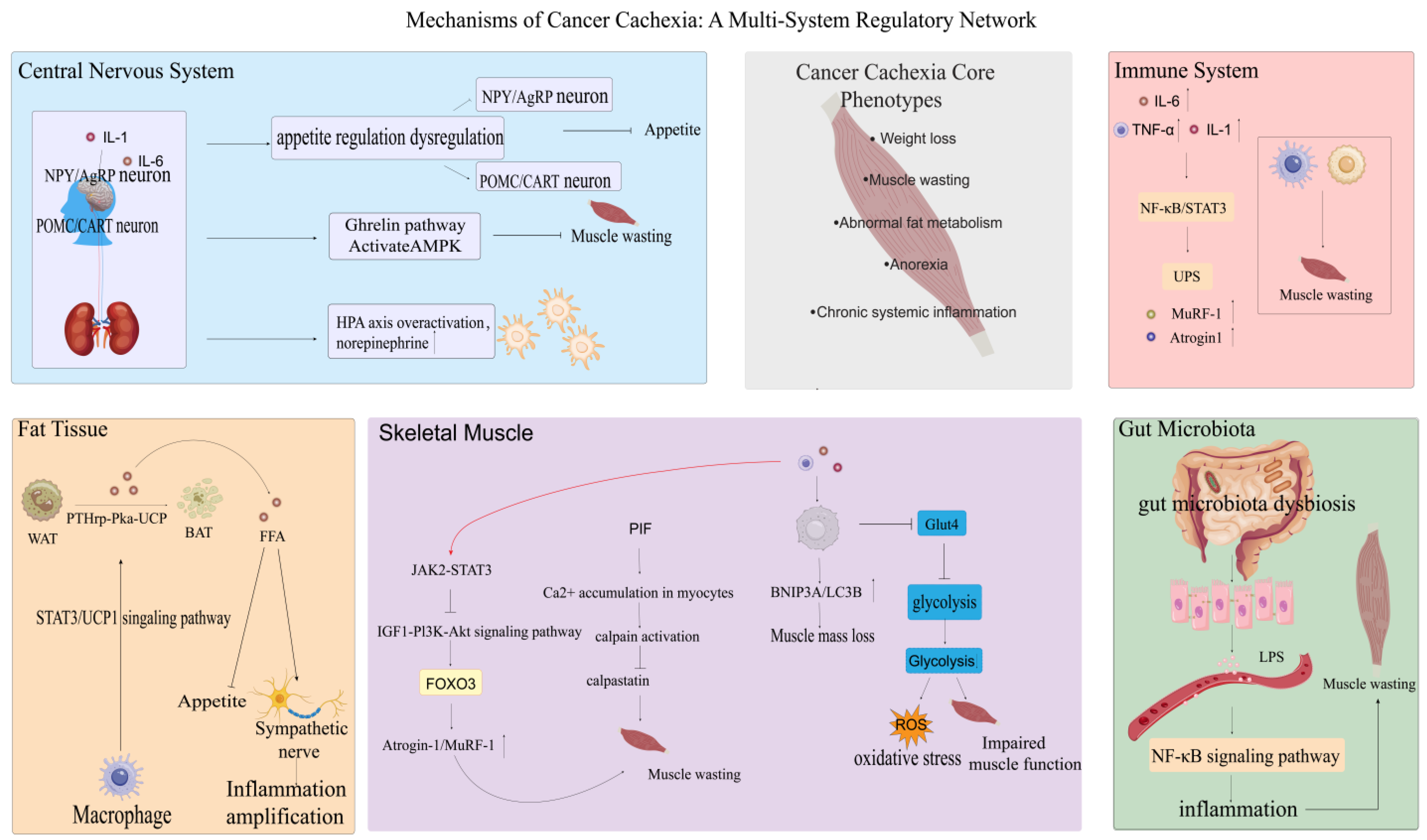 Cancers 18 00104 g003