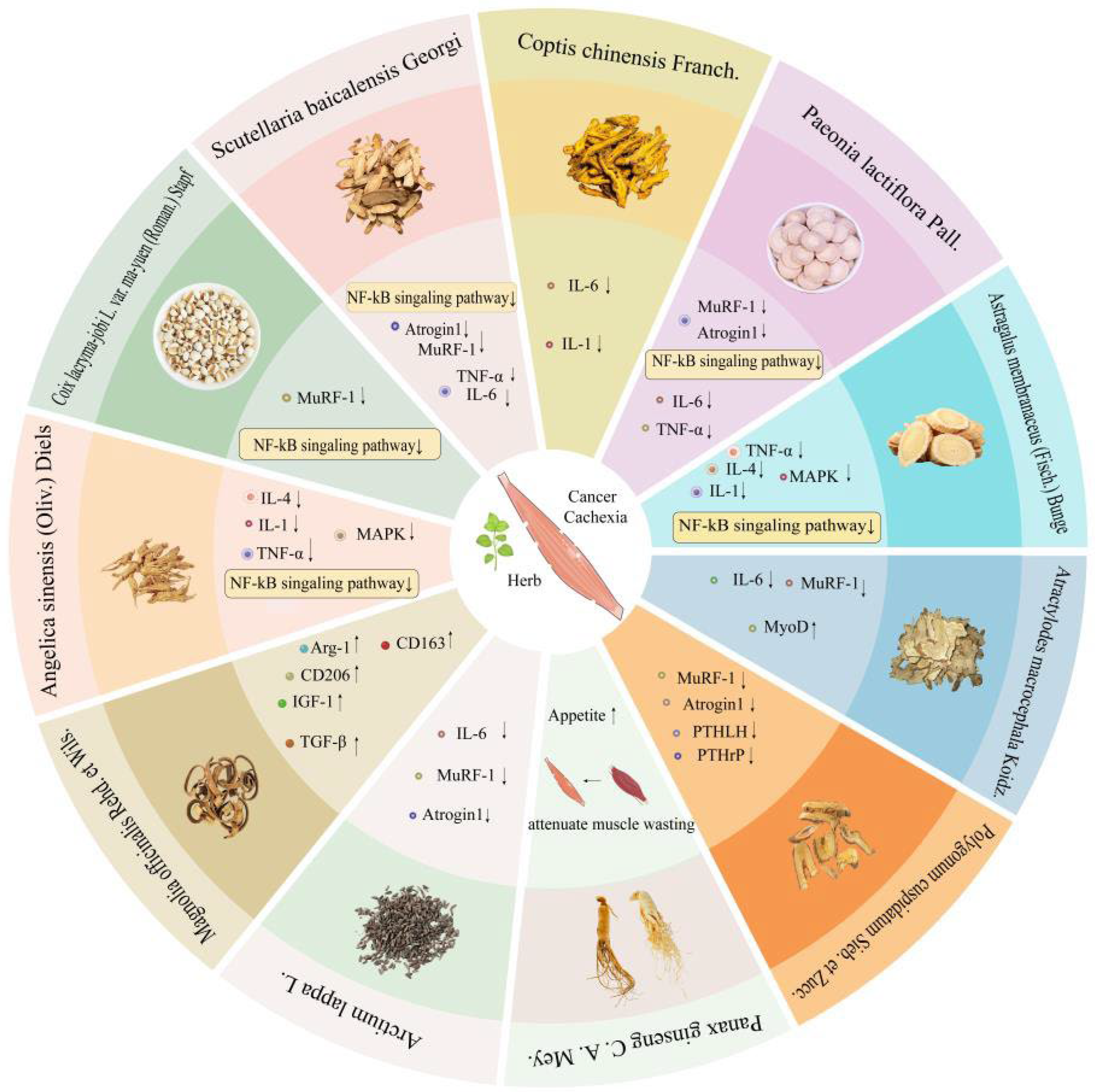 Cancers 18 00104 g005