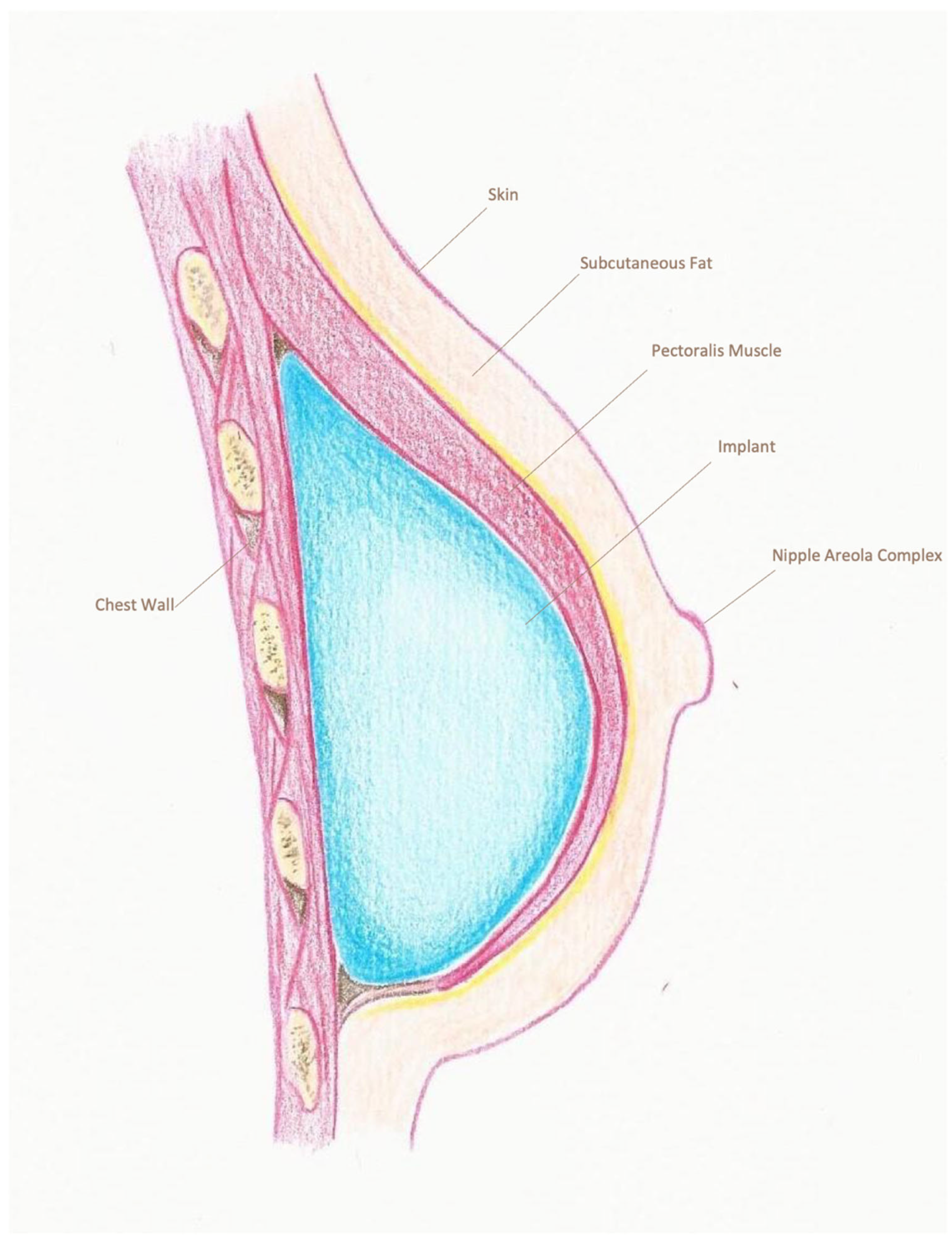 Cancers 18 00109 g001