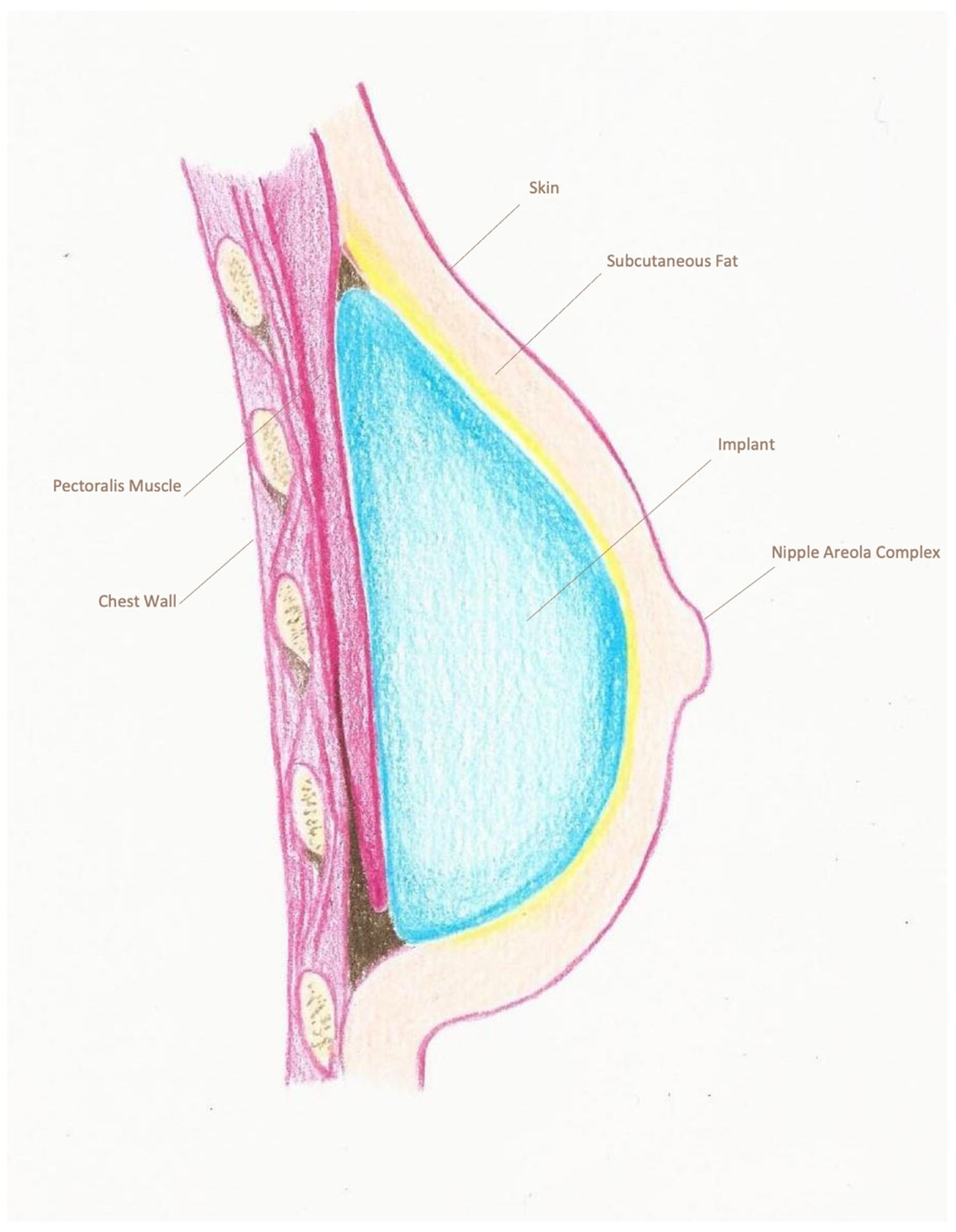 Cancers 18 00109 g002