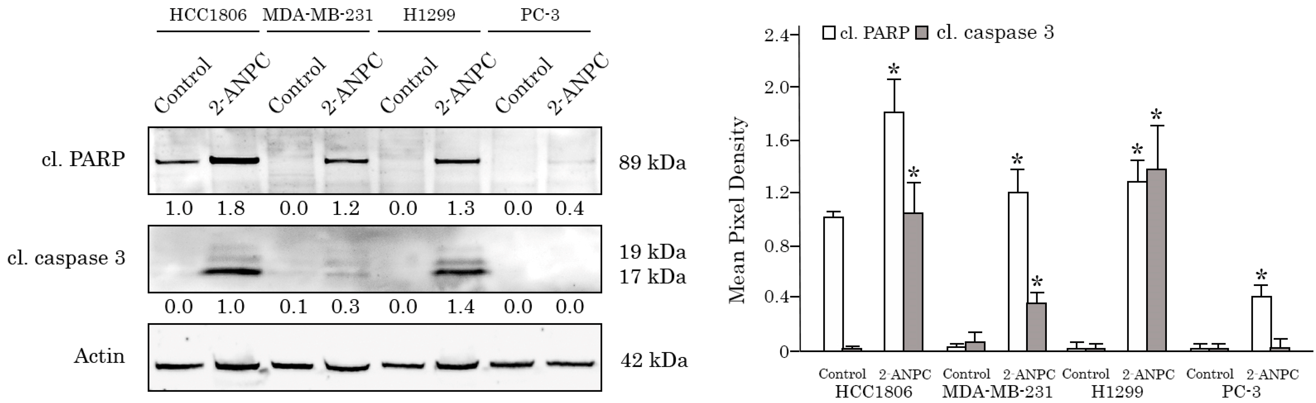 Cancers 18 00115 g002 Cancers 18 00115 g002