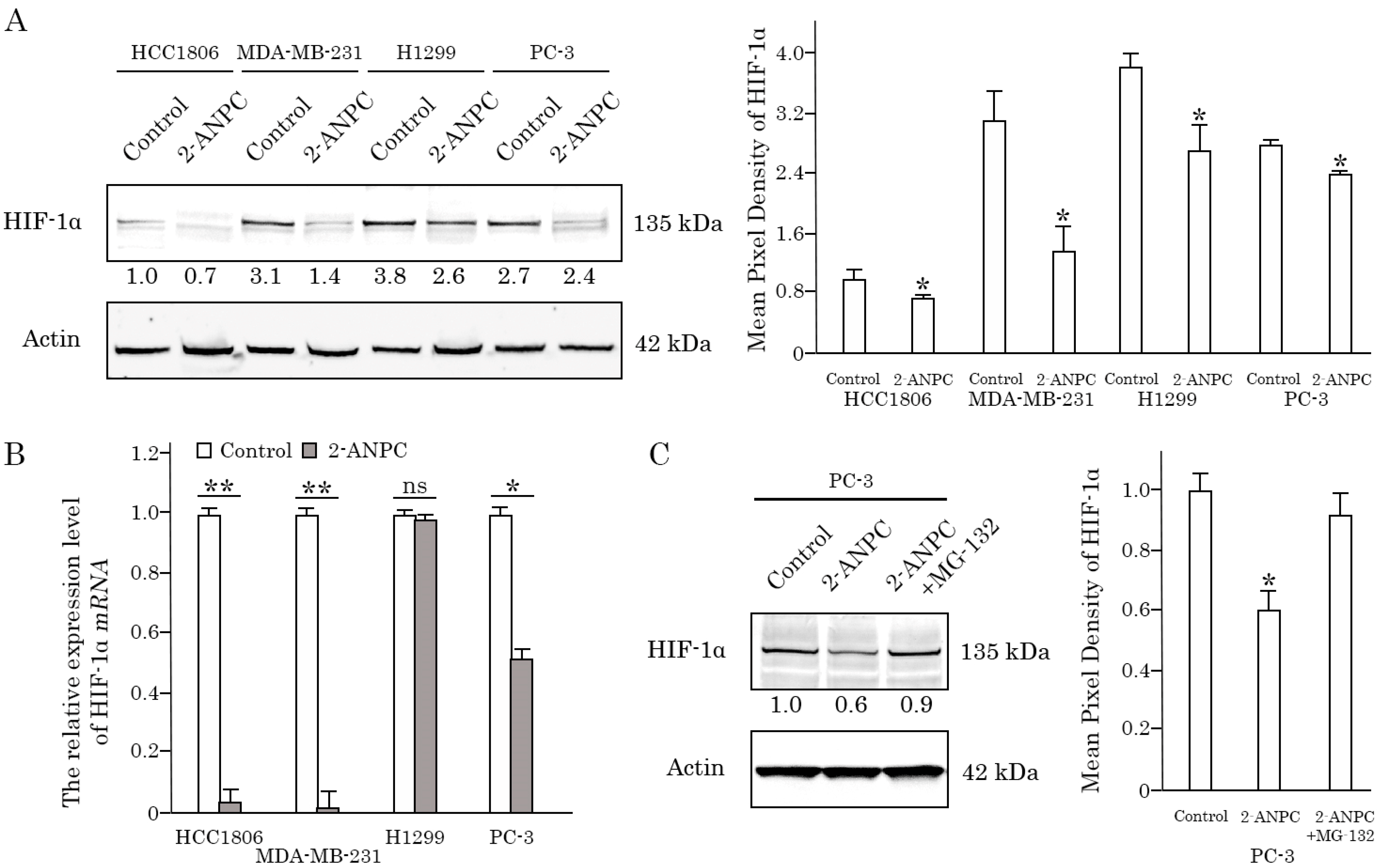 Cancers 18 00115 g003 Cancers 18 00115 g003