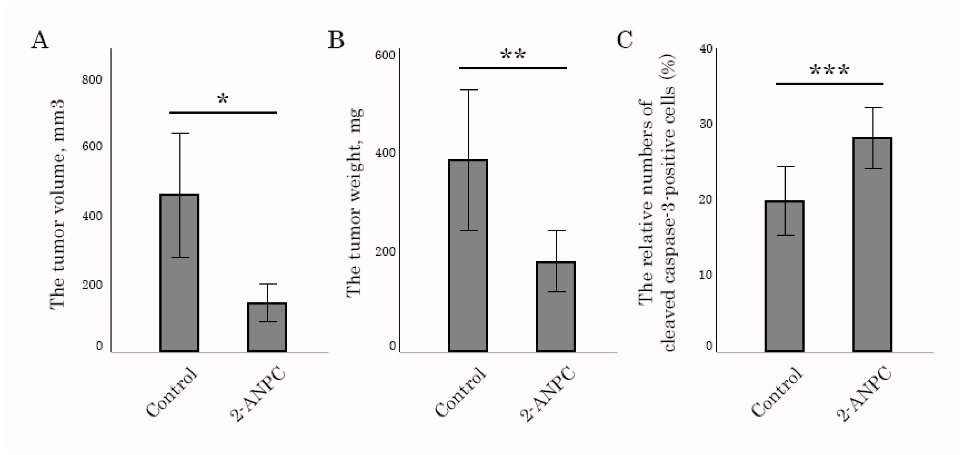 Cancers 18 00115 g005 Cancers 18 00115 g005