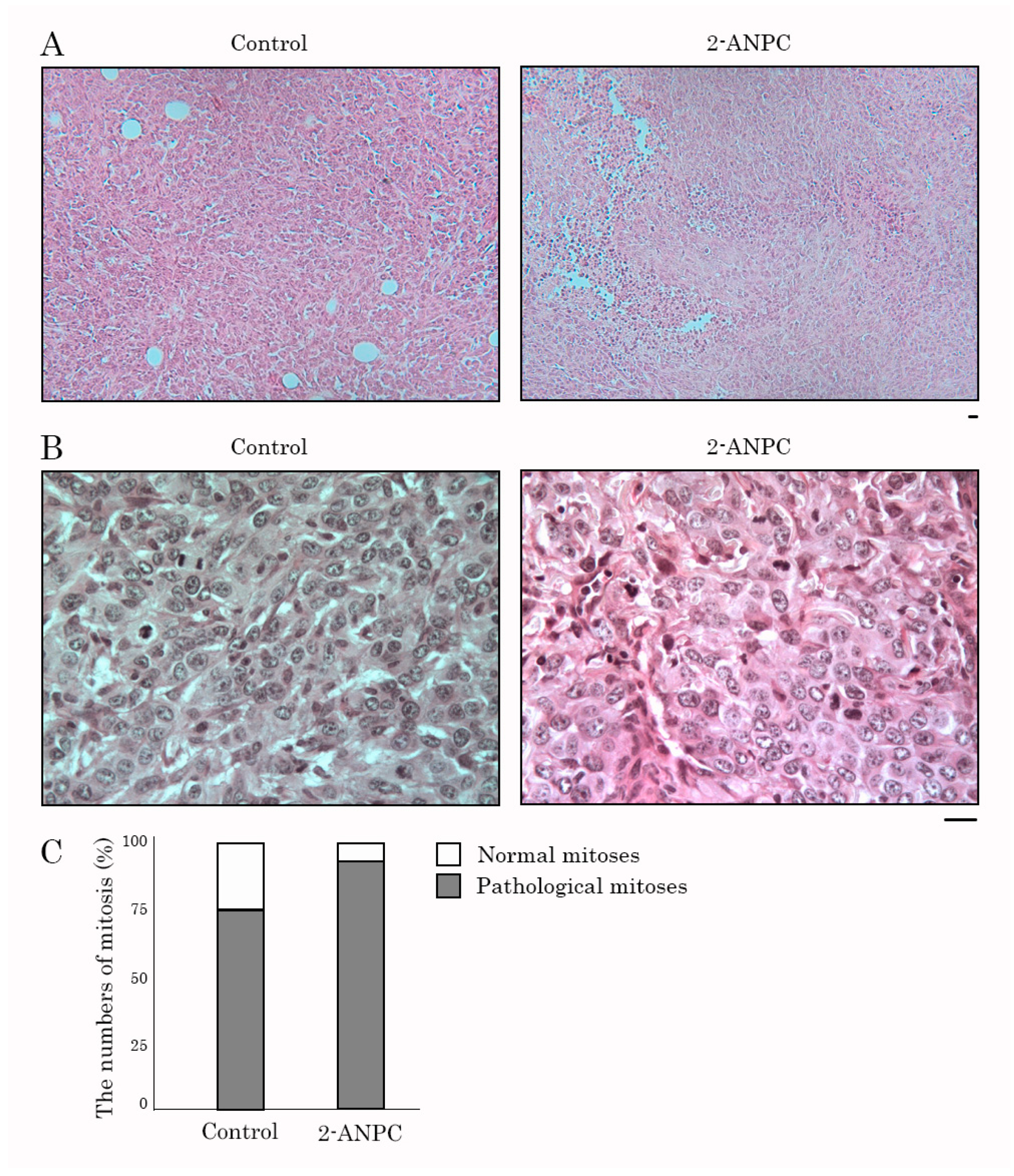 Cancers 18 00115 g006 Cancers 18 00115 g006