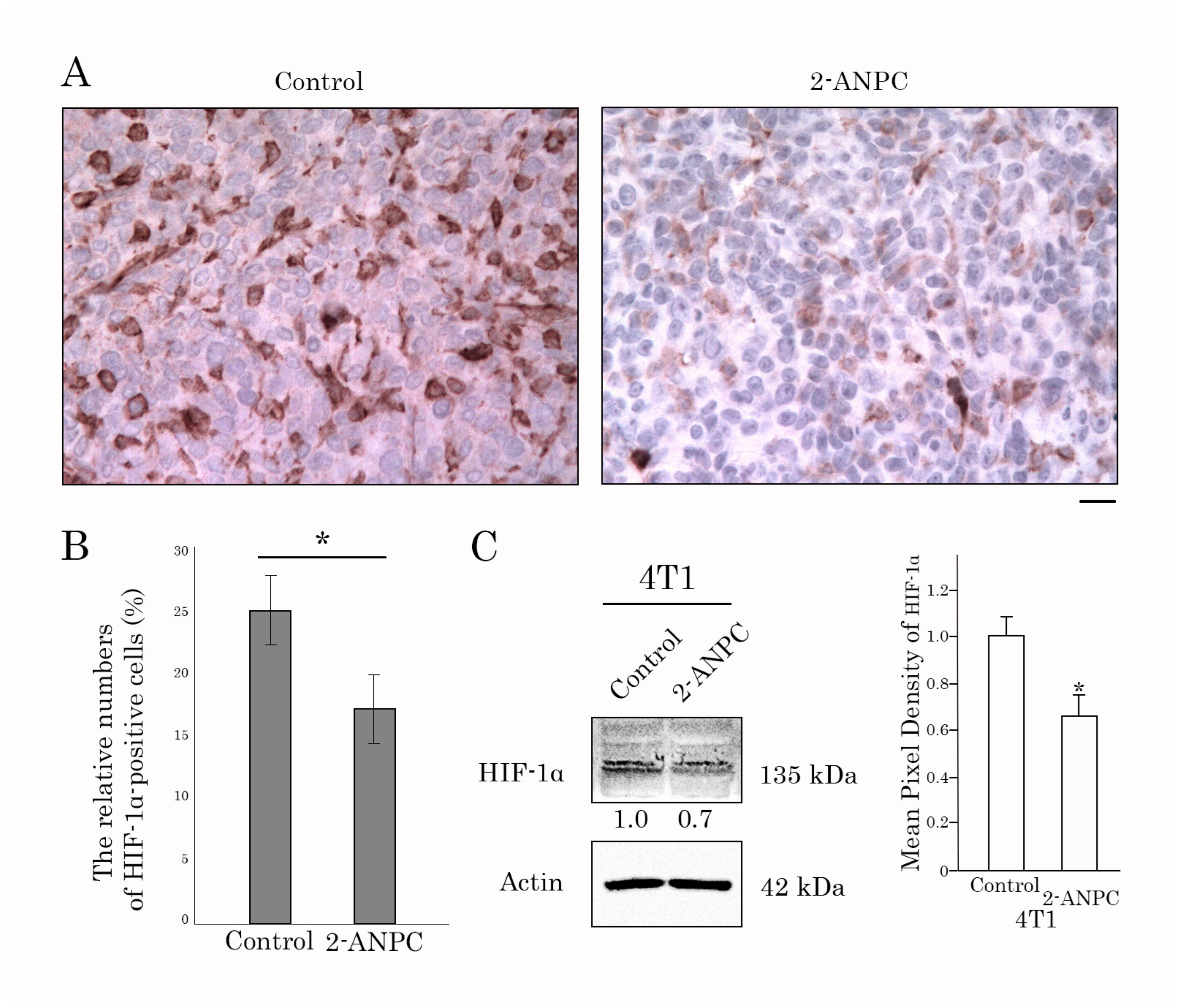 Cancers 18 00115 g007 Cancers 18 00115 g007