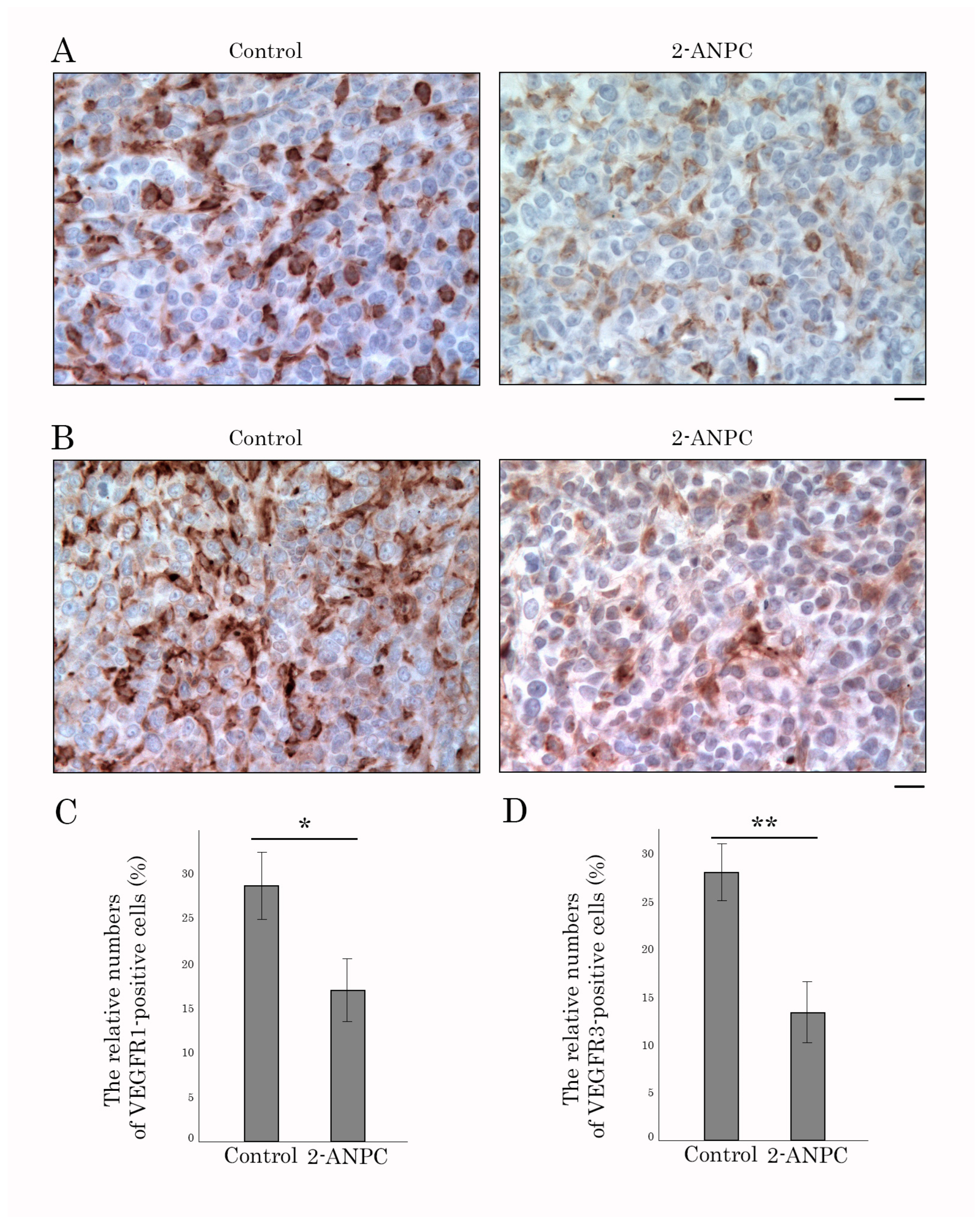 Cancers 18 00115 g008 Cancers 18 00115 g008