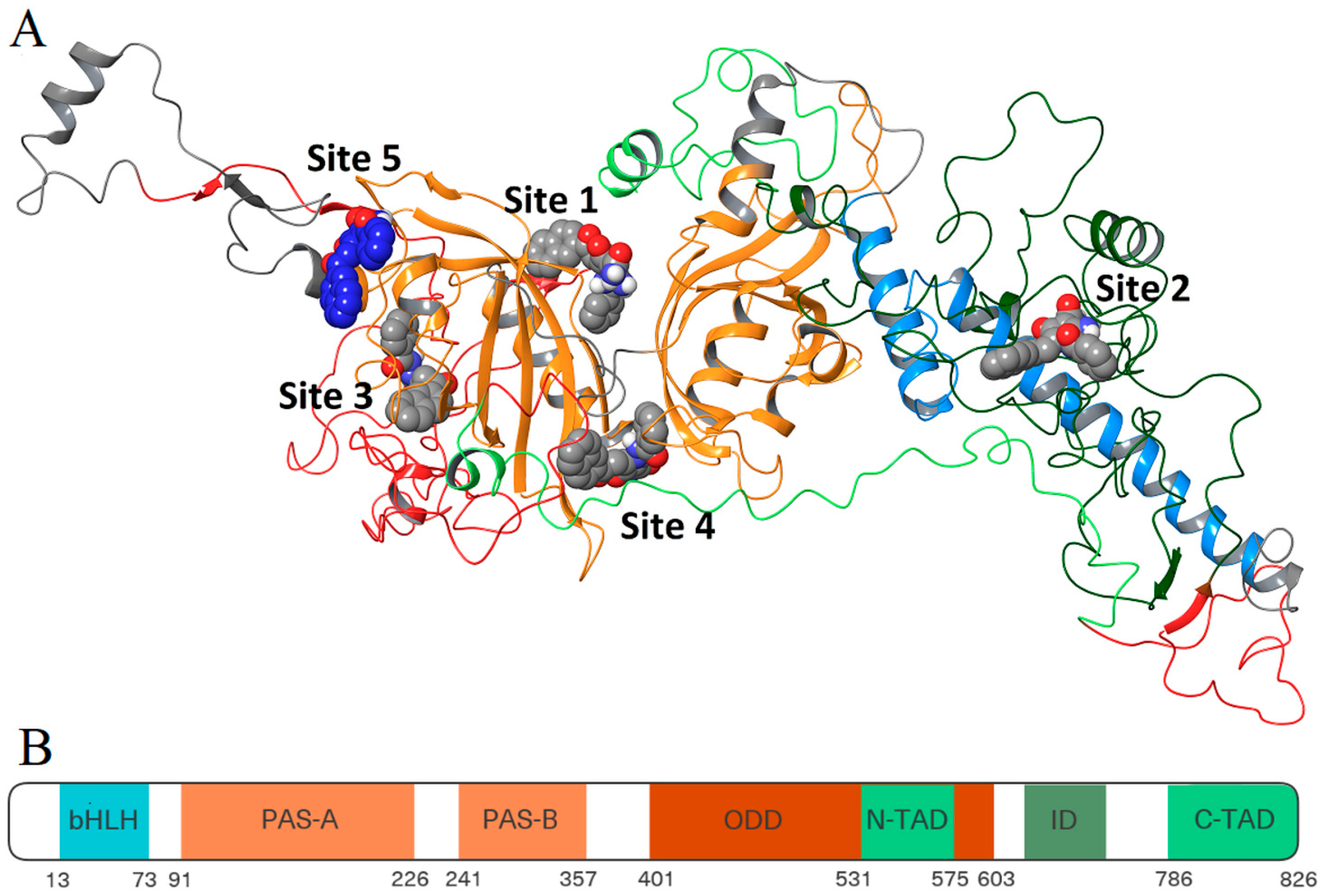 Cancers 18 00115 g010 Cancers 18 00115 g010