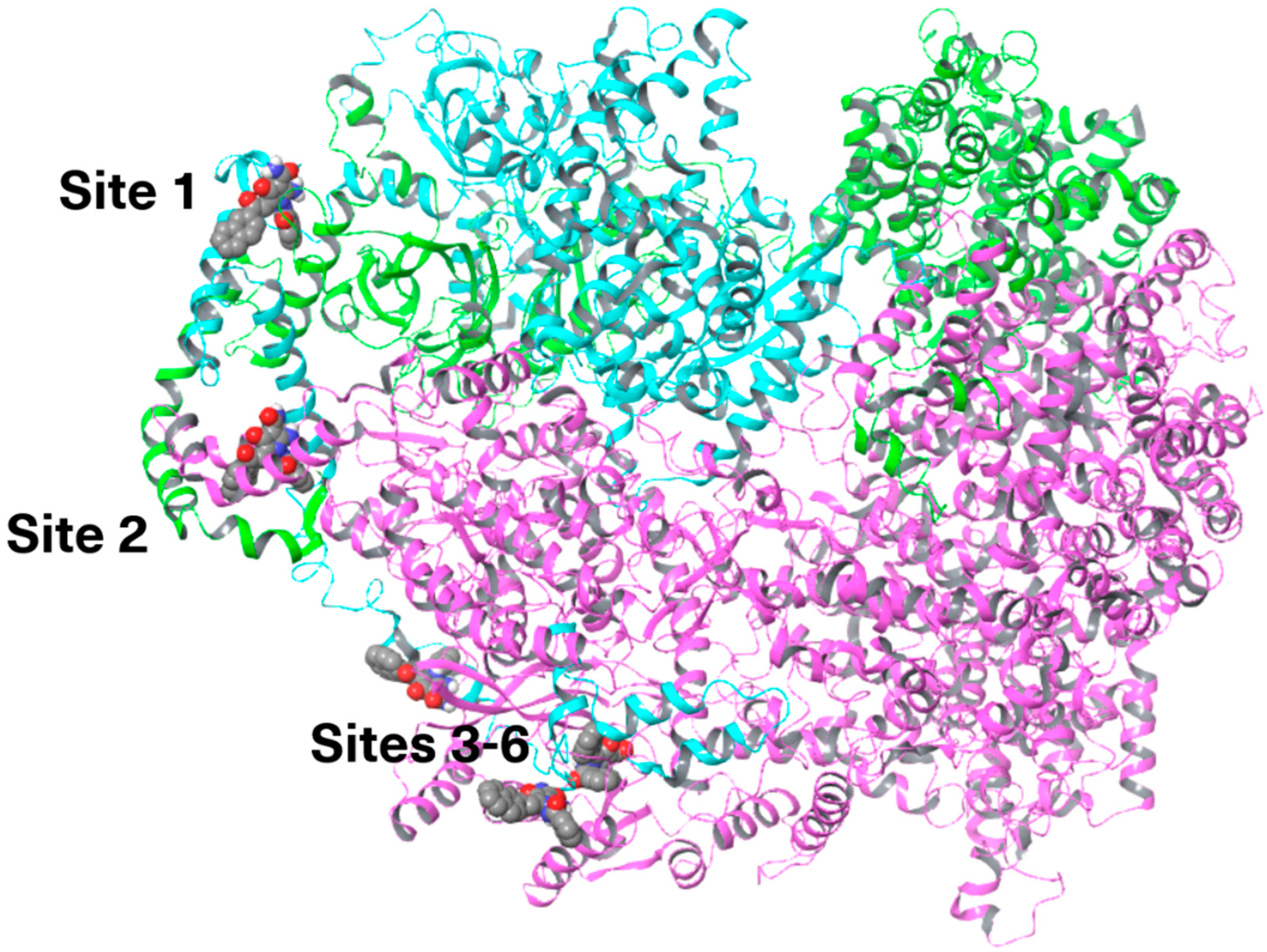 Cancers 18 00115 g011 Cancers 18 00115 g011
