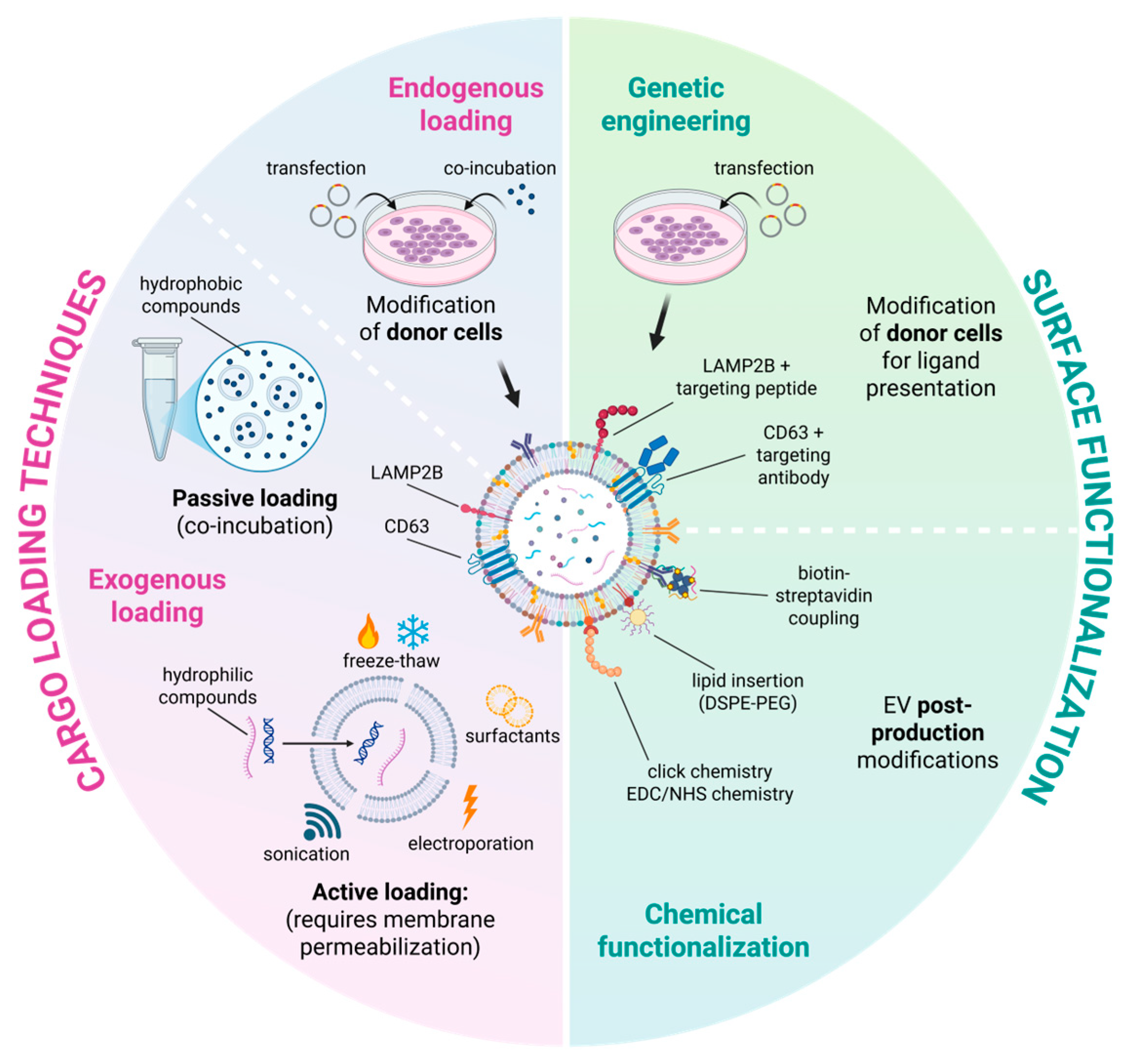 Cancers 18 00118 g002