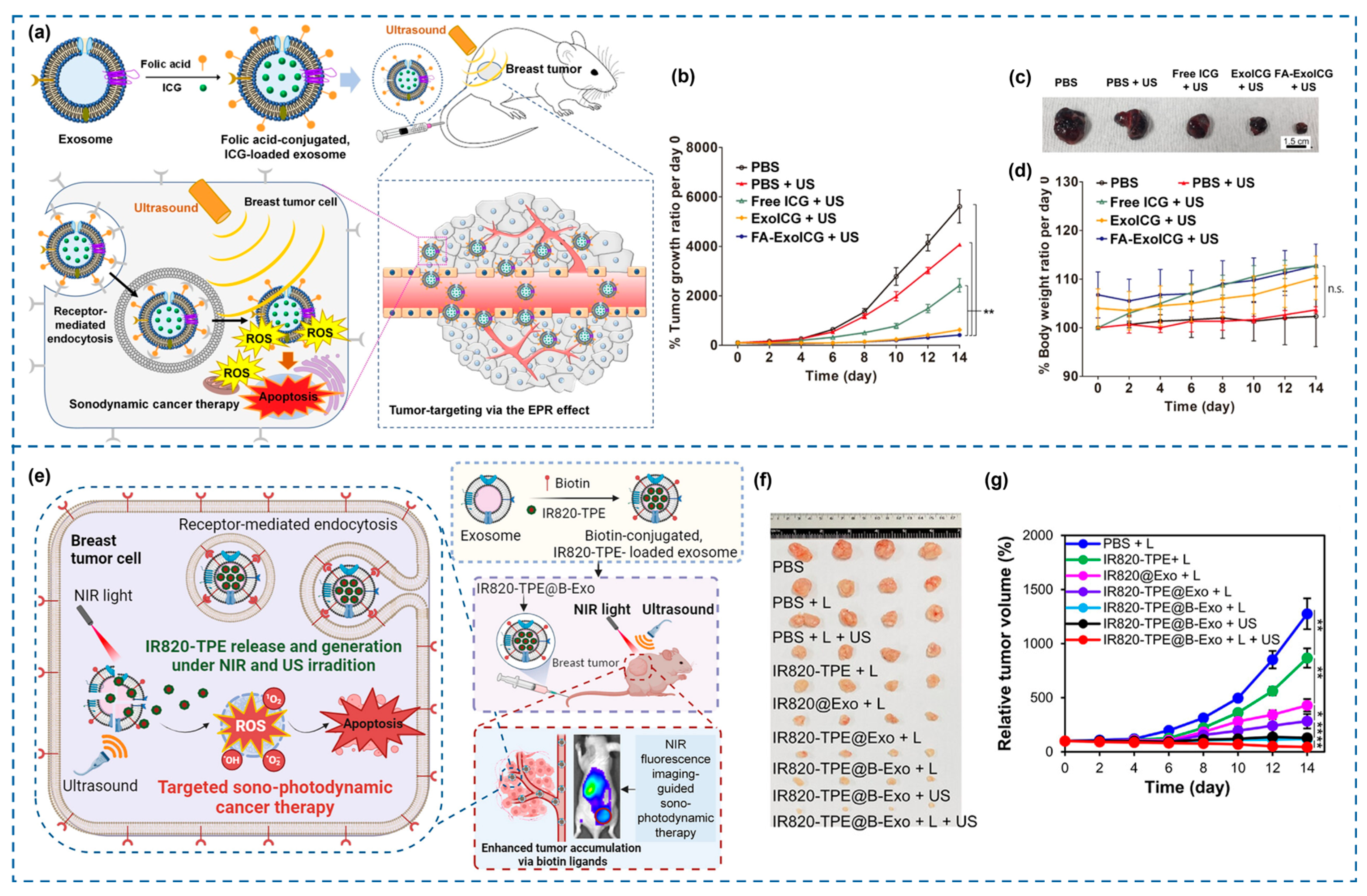 Cancers 18 00118 g003