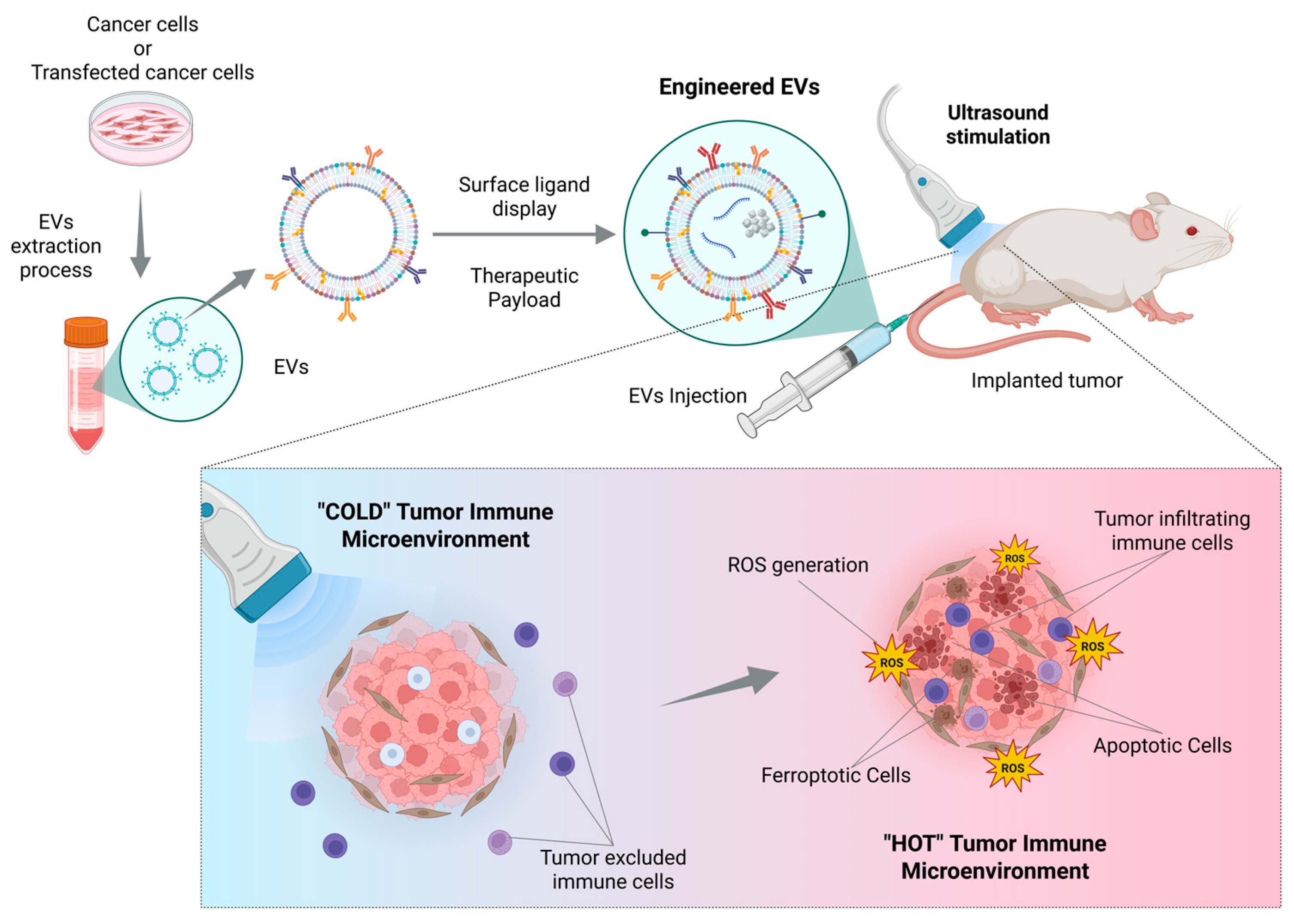 Cancers 18 00118 g004