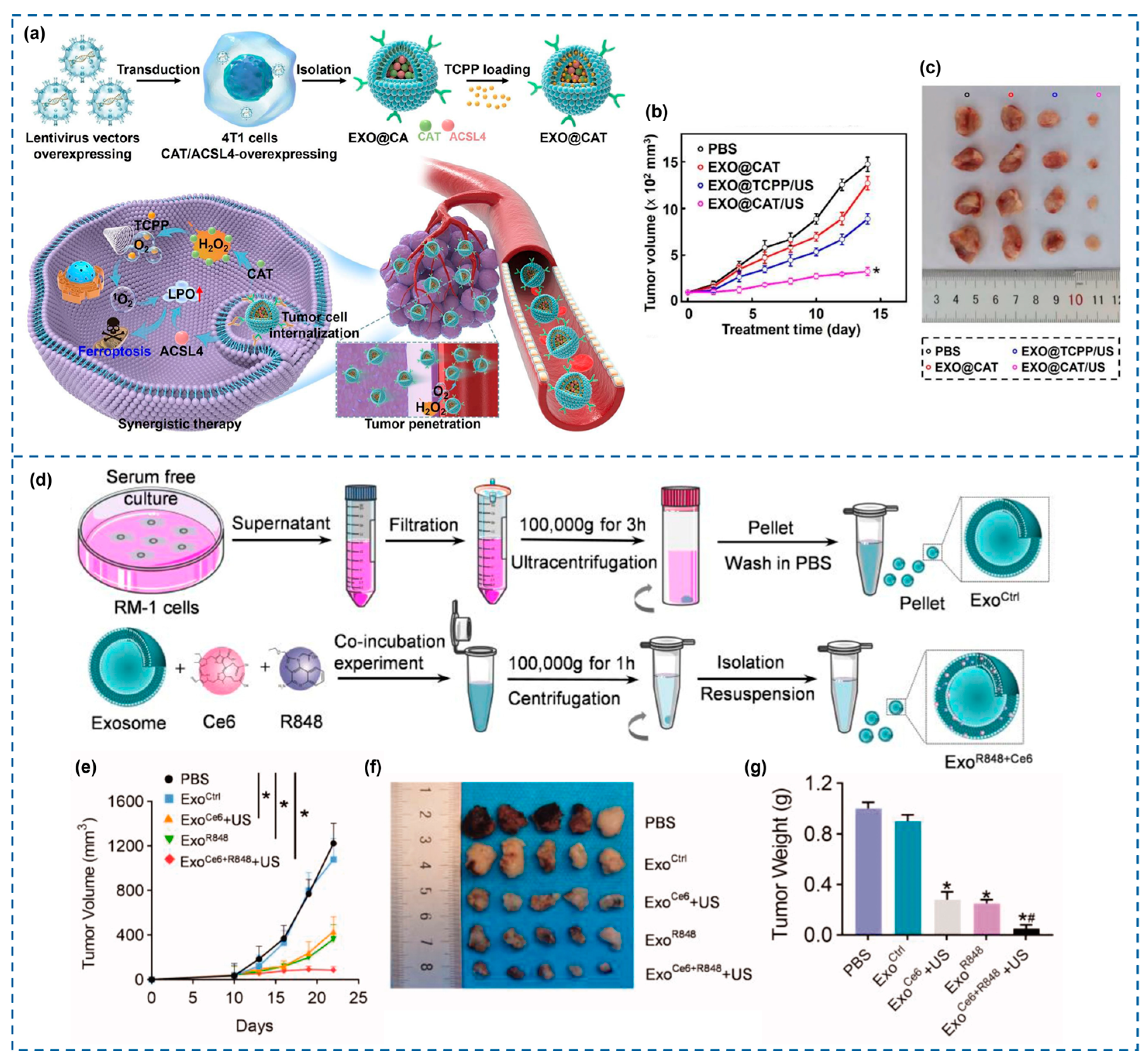 Cancers 18 00118 g005