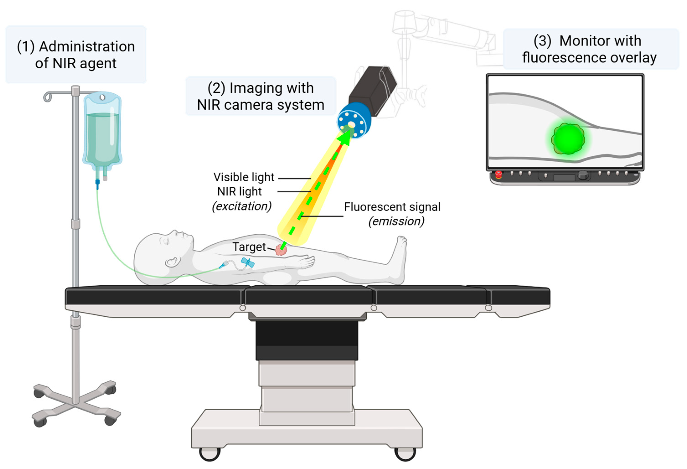 Cancers 18 00149 g001