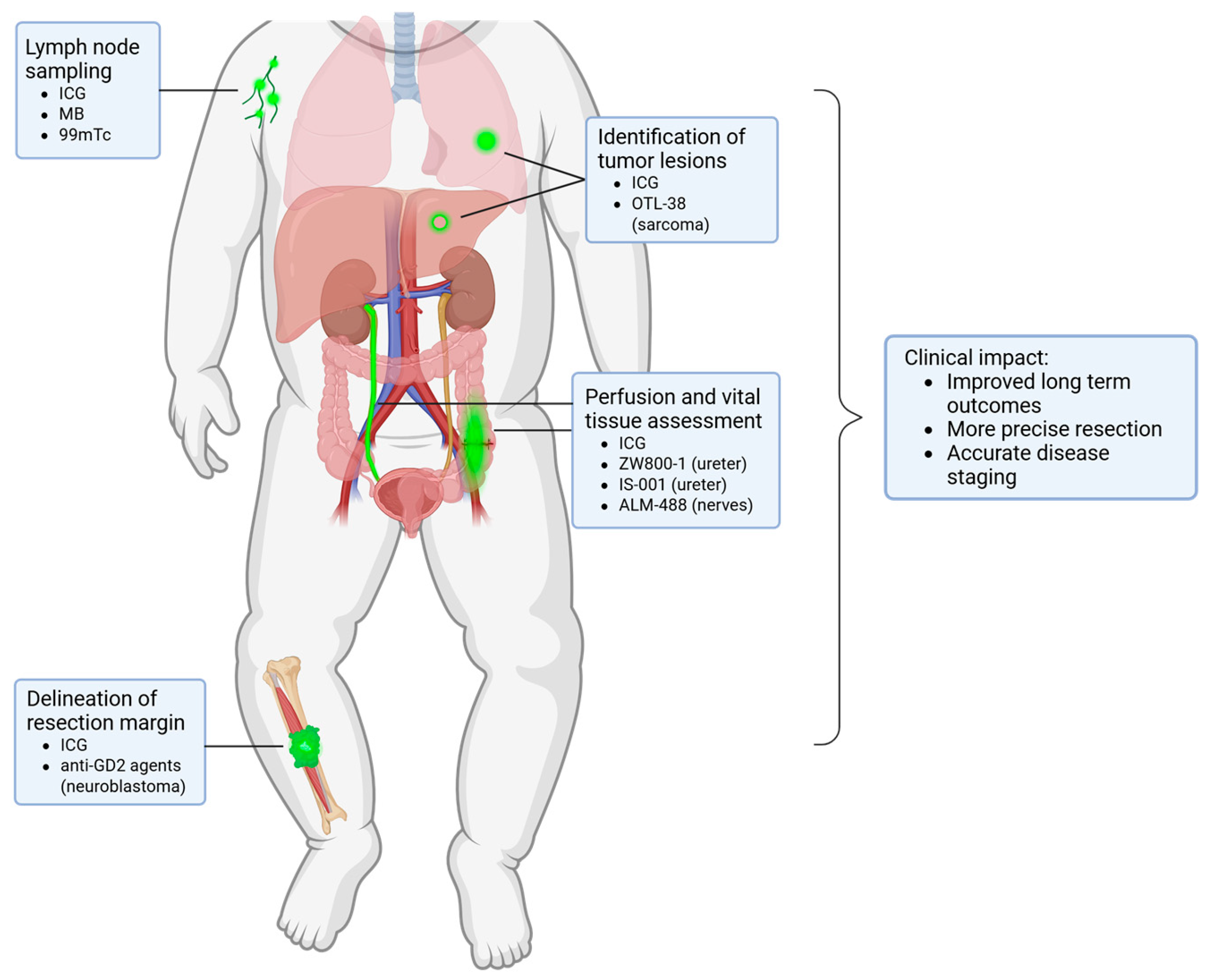 Cancers 18 00149 g002