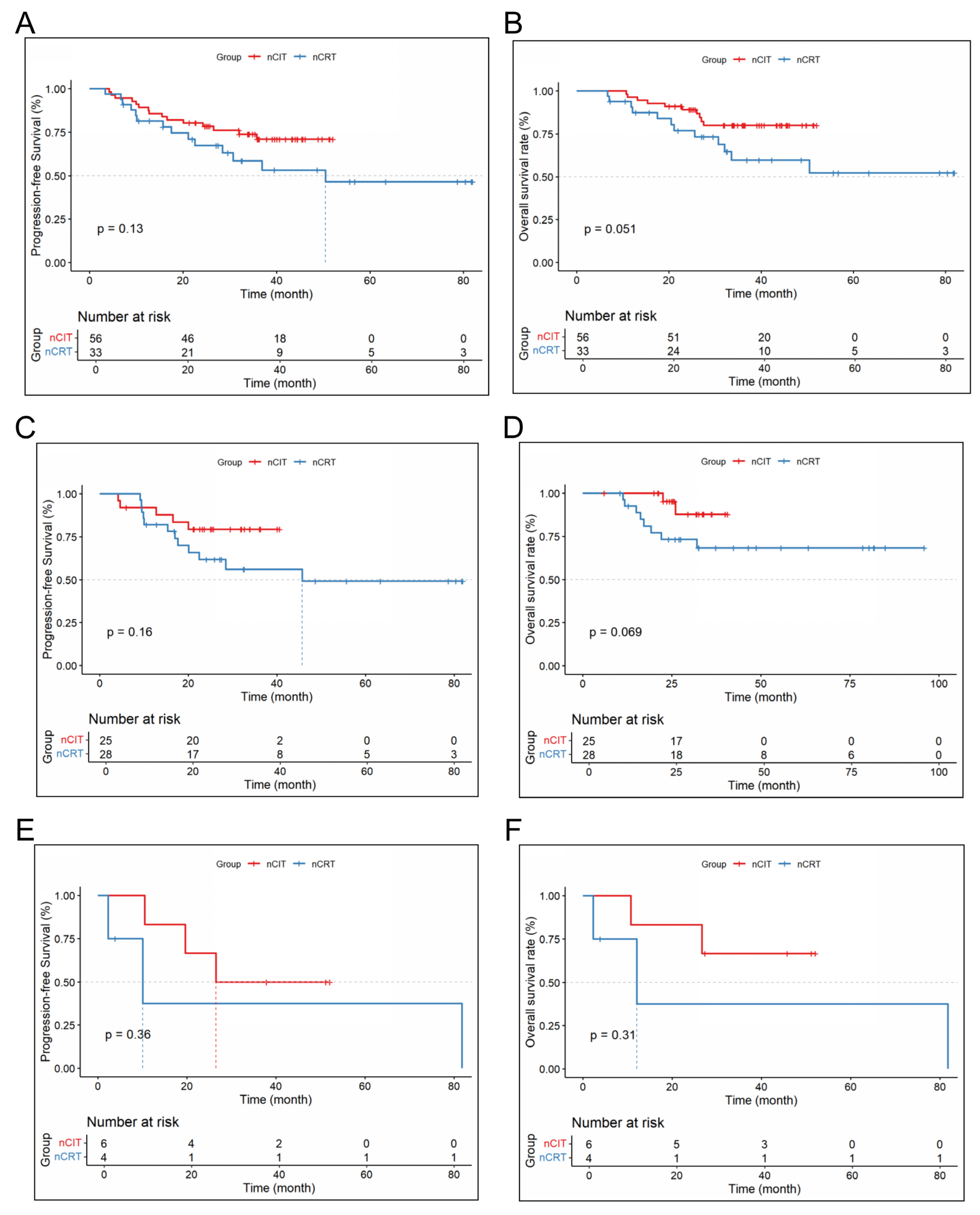 Cancers 18 00155 g005 Cancers 18 00155 g005